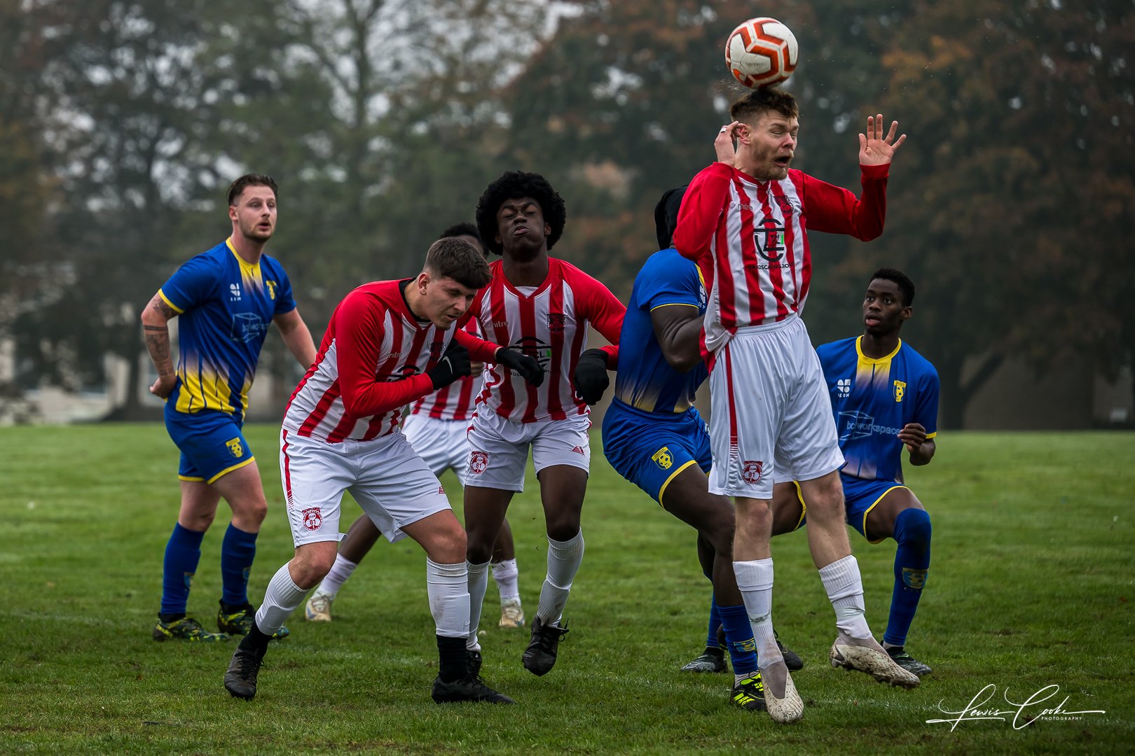  005 DSC_6531 251012.jpg