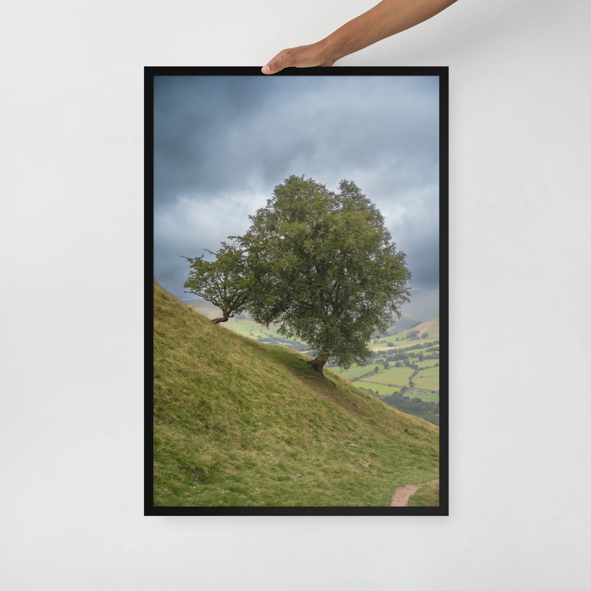 Peak District Tree Framed Print