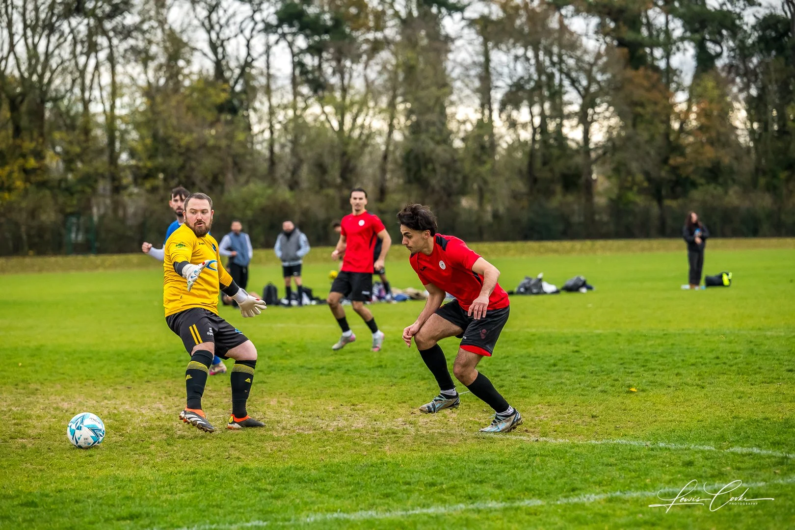  003 DSC_0169 251116.jpg