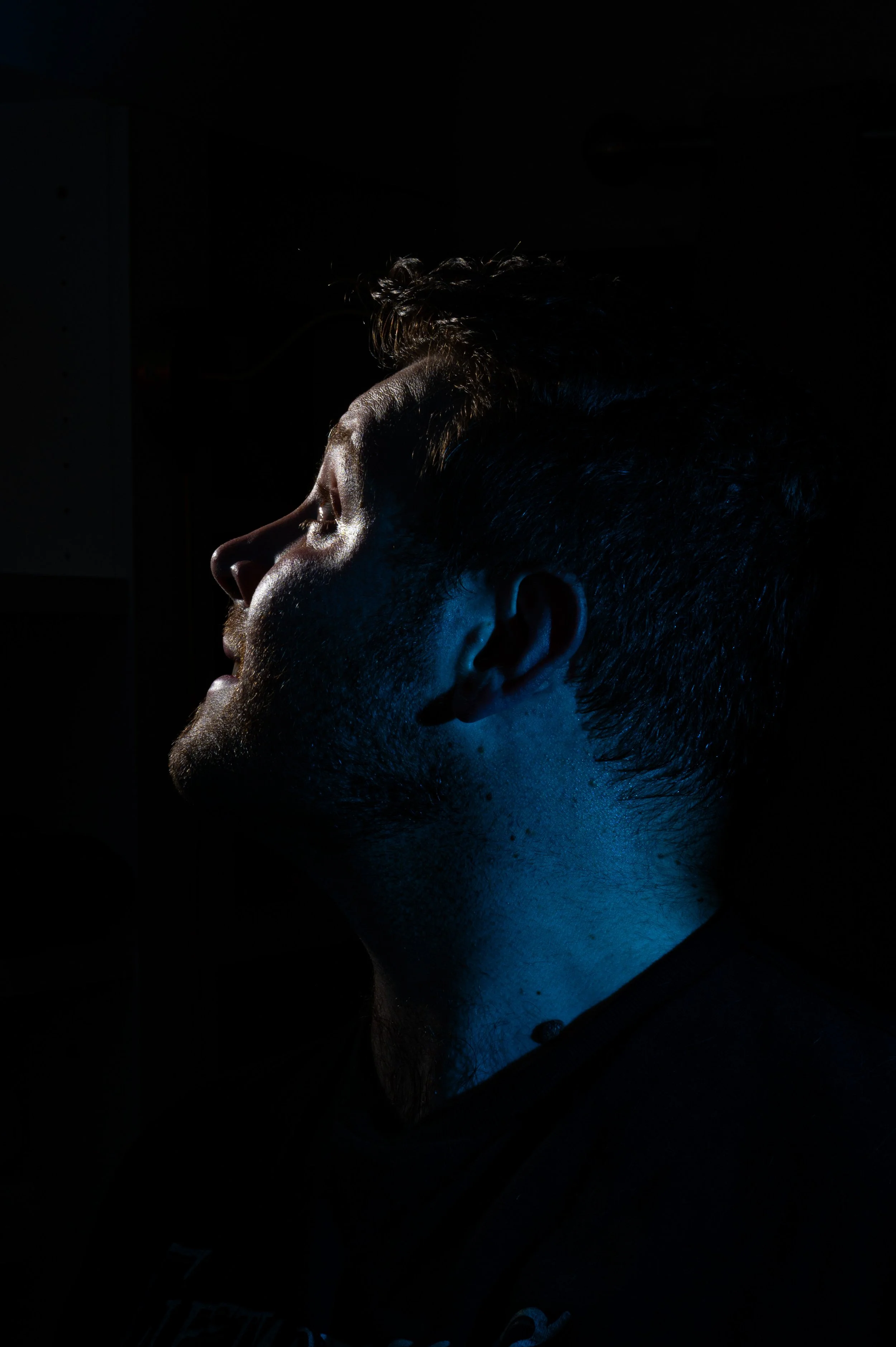 LC self portrait.jpg