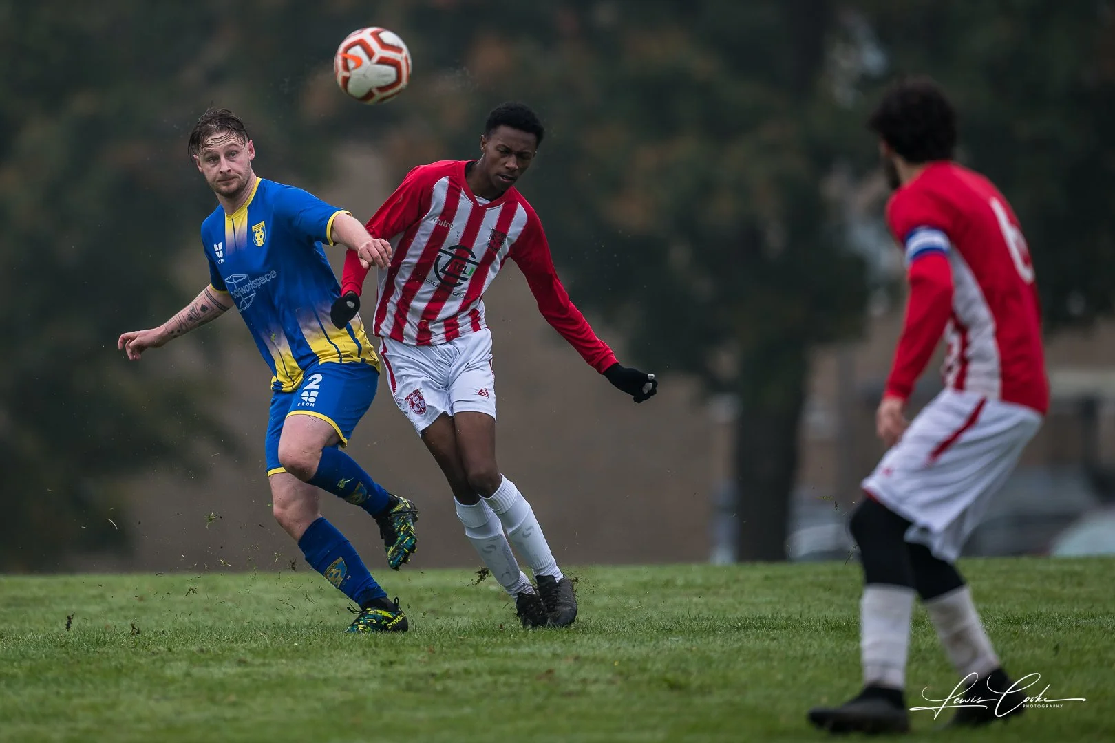  043 DSC_4171 251012.jpg