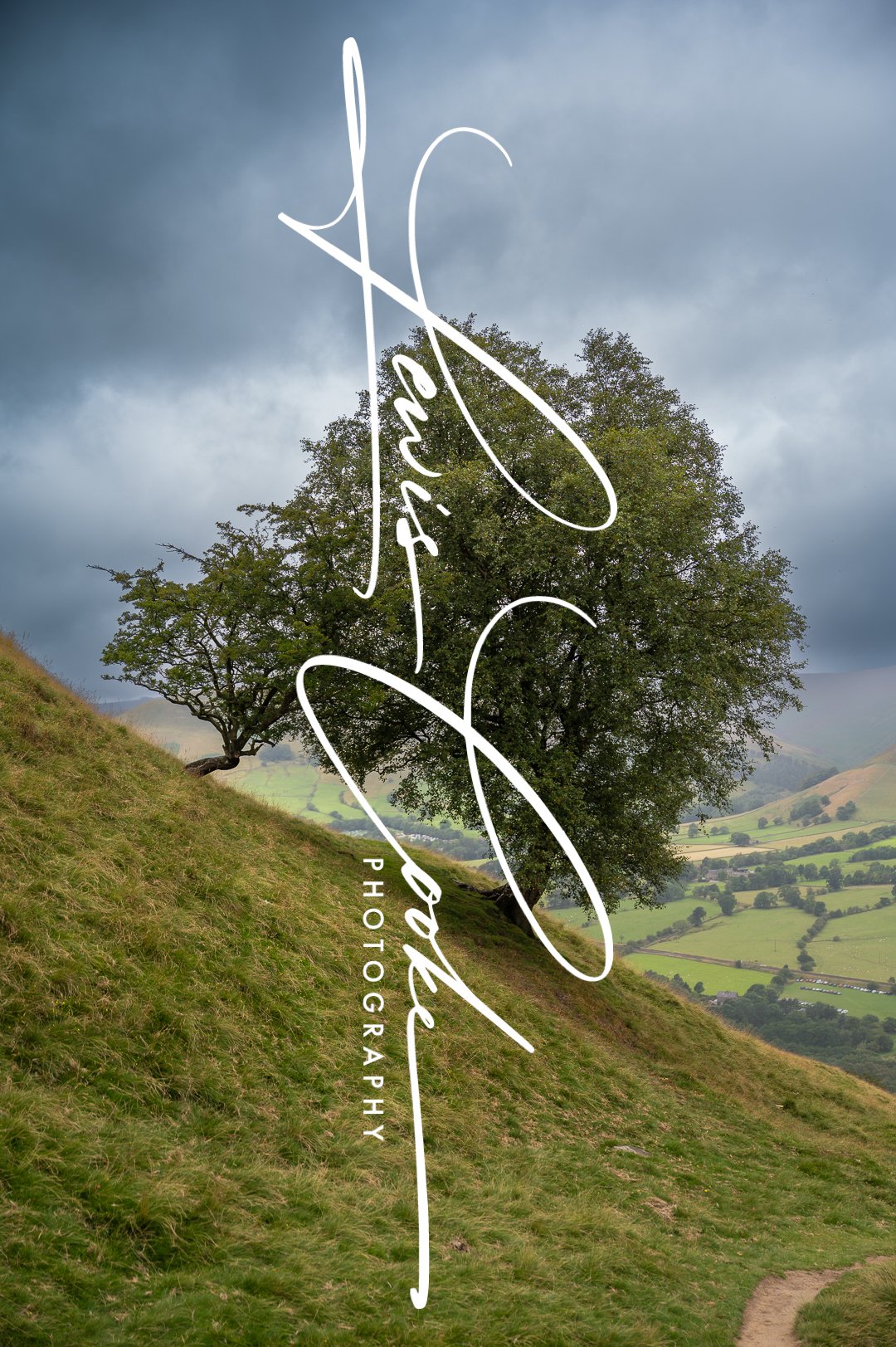 Peak District Tree (Digital, Hi Res)