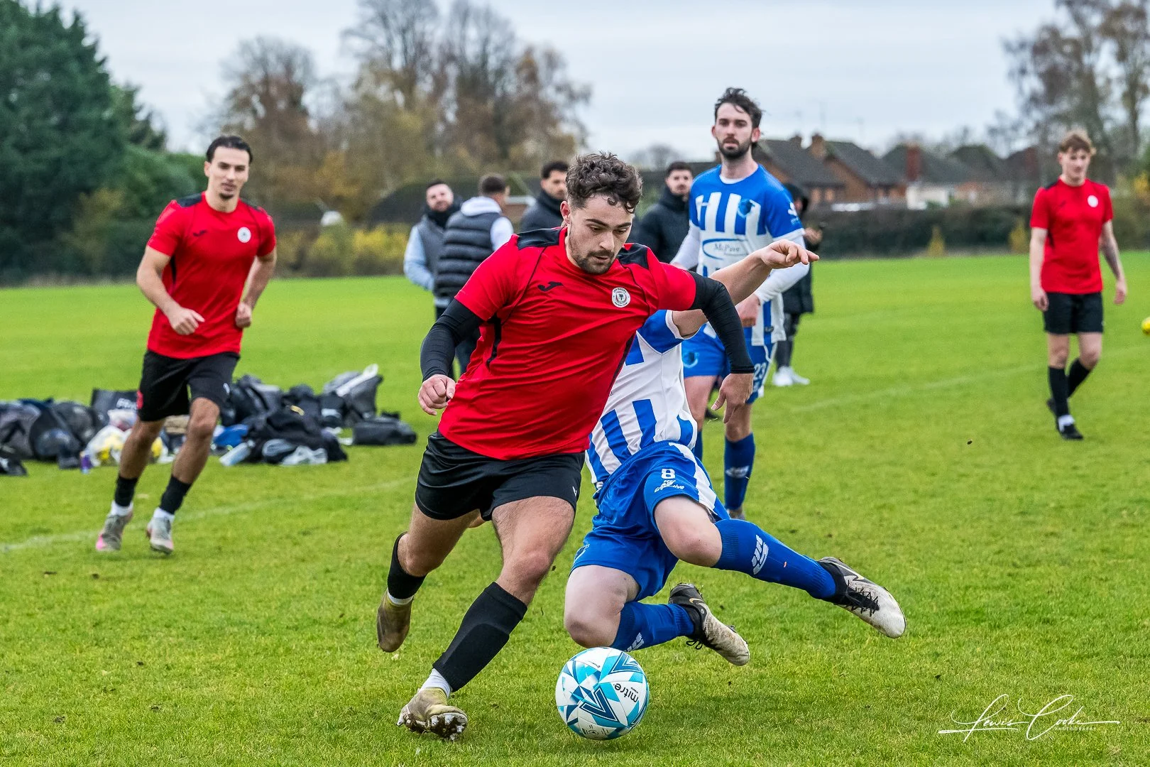  042 DSC_0533 251116.jpg