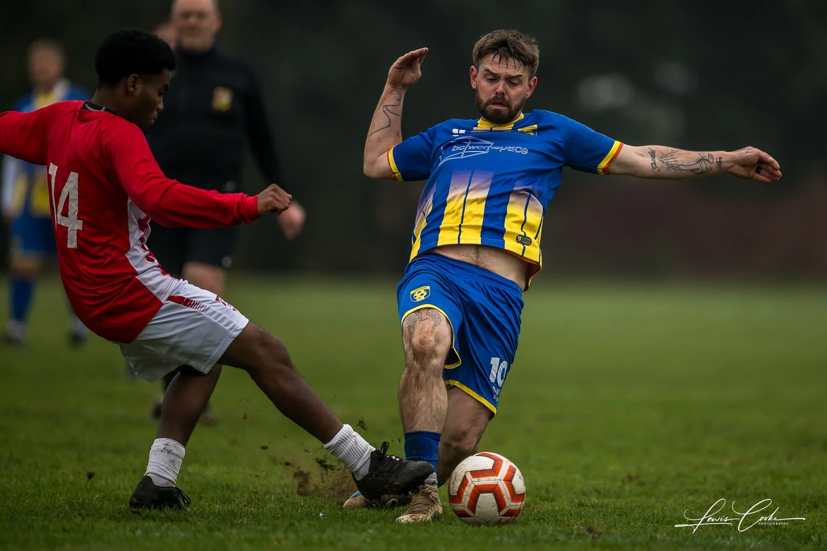  065 DSC_4341 251012.jpg