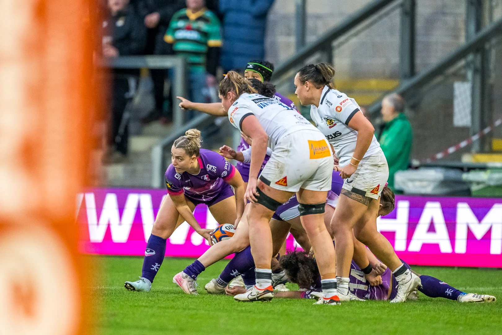 001 DSC_6356 251109.jpg