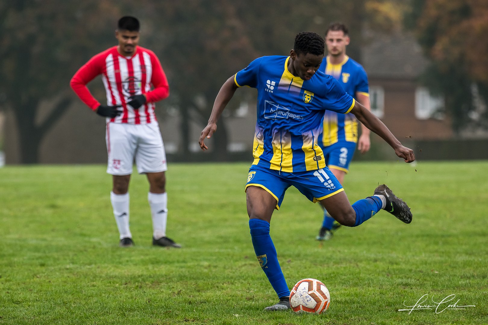  010 DSC_6590 251012.jpg