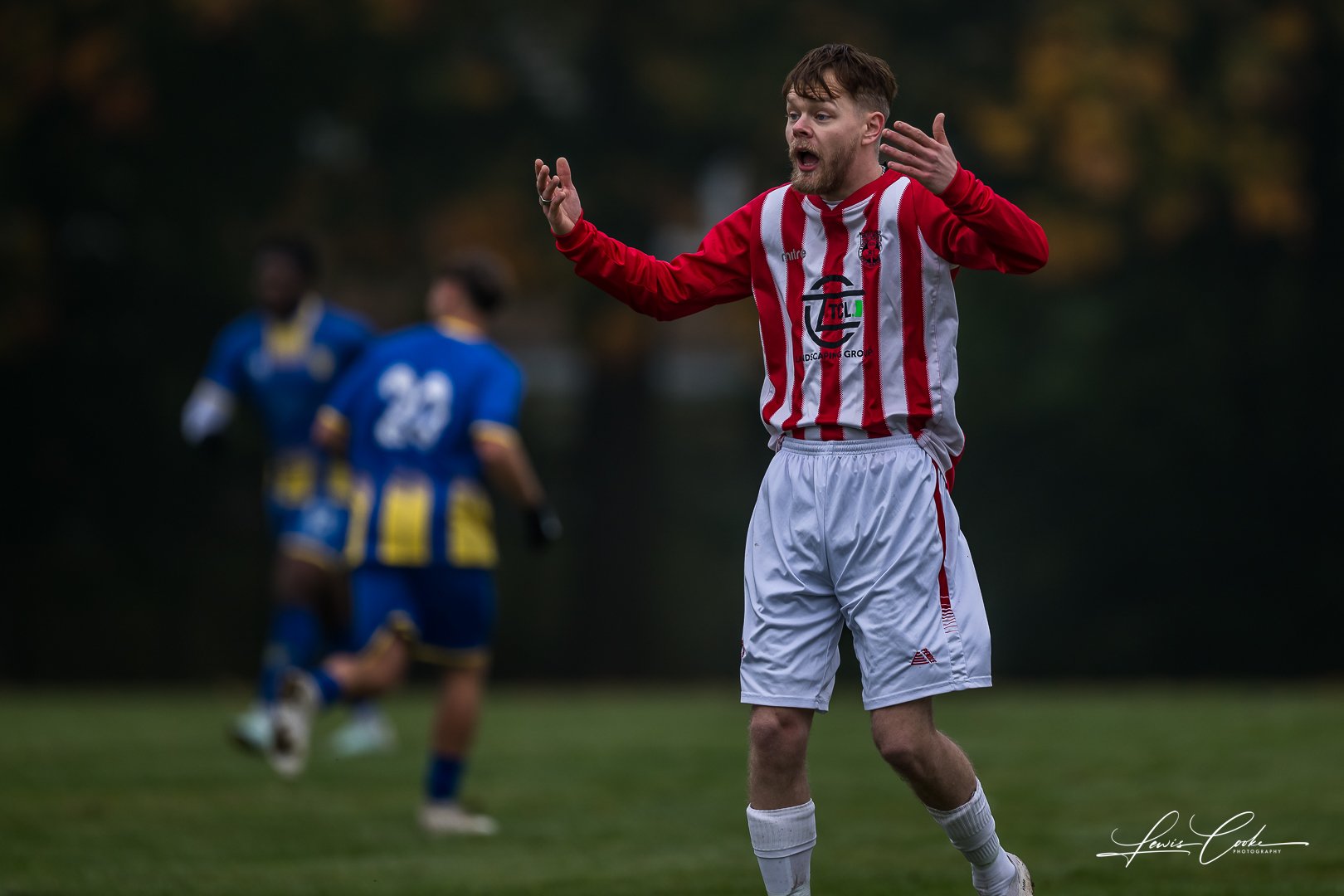  037 DSC_4129 251012.jpg