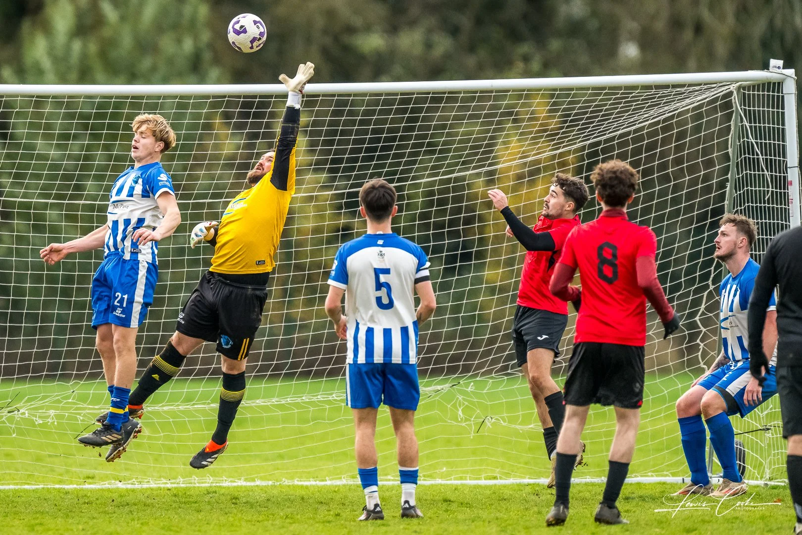  064 DSC_7293 251116.jpg