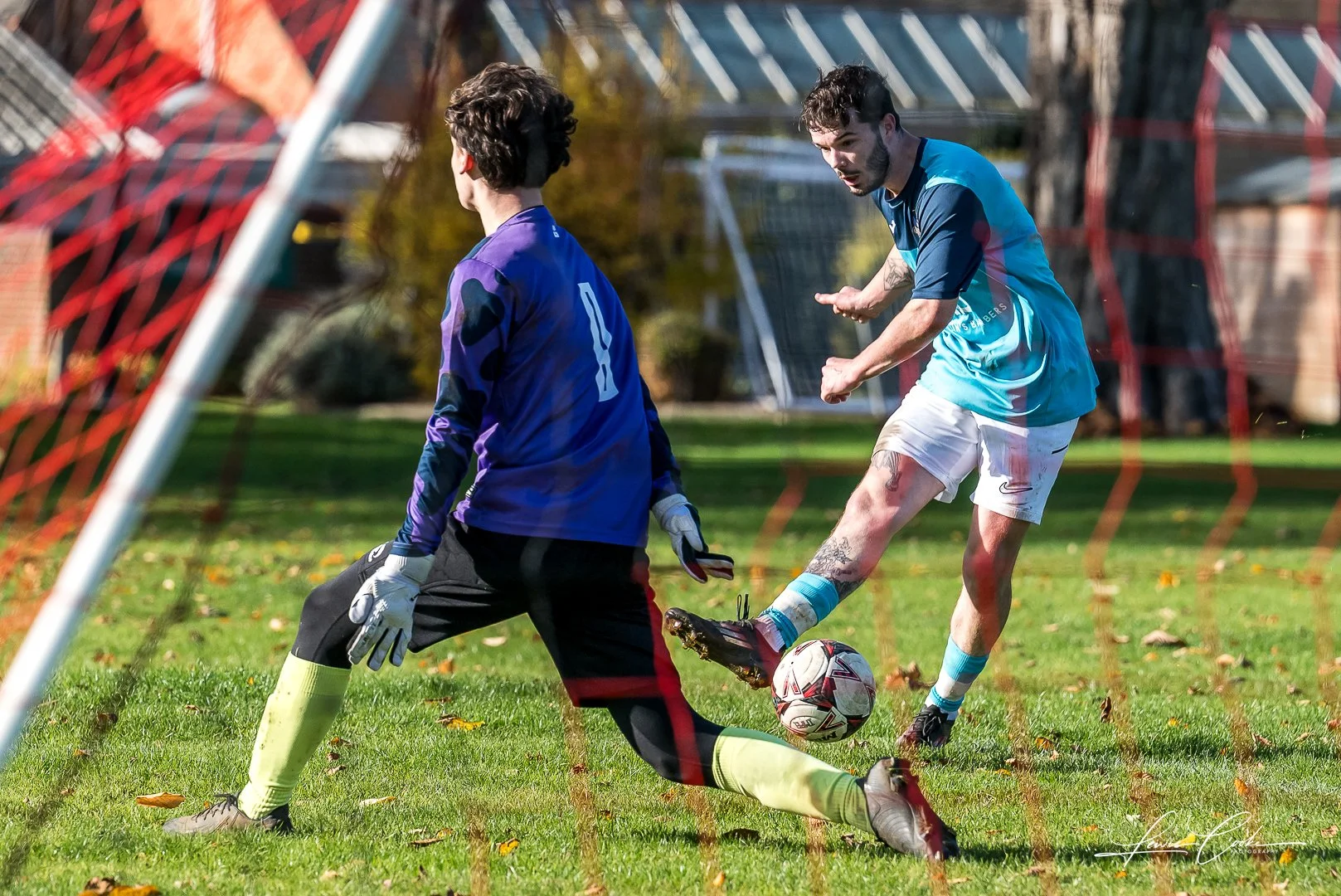  073 DSC_8385-2 251102.jpg