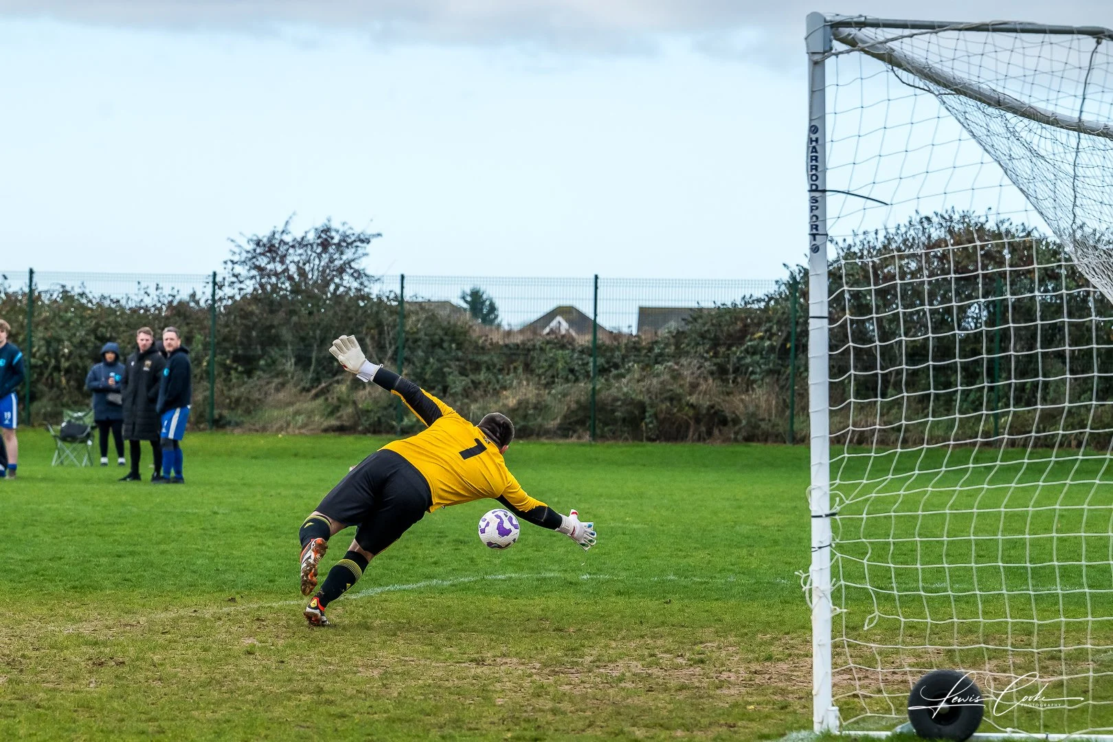  024 DSC_0369 251116.jpg