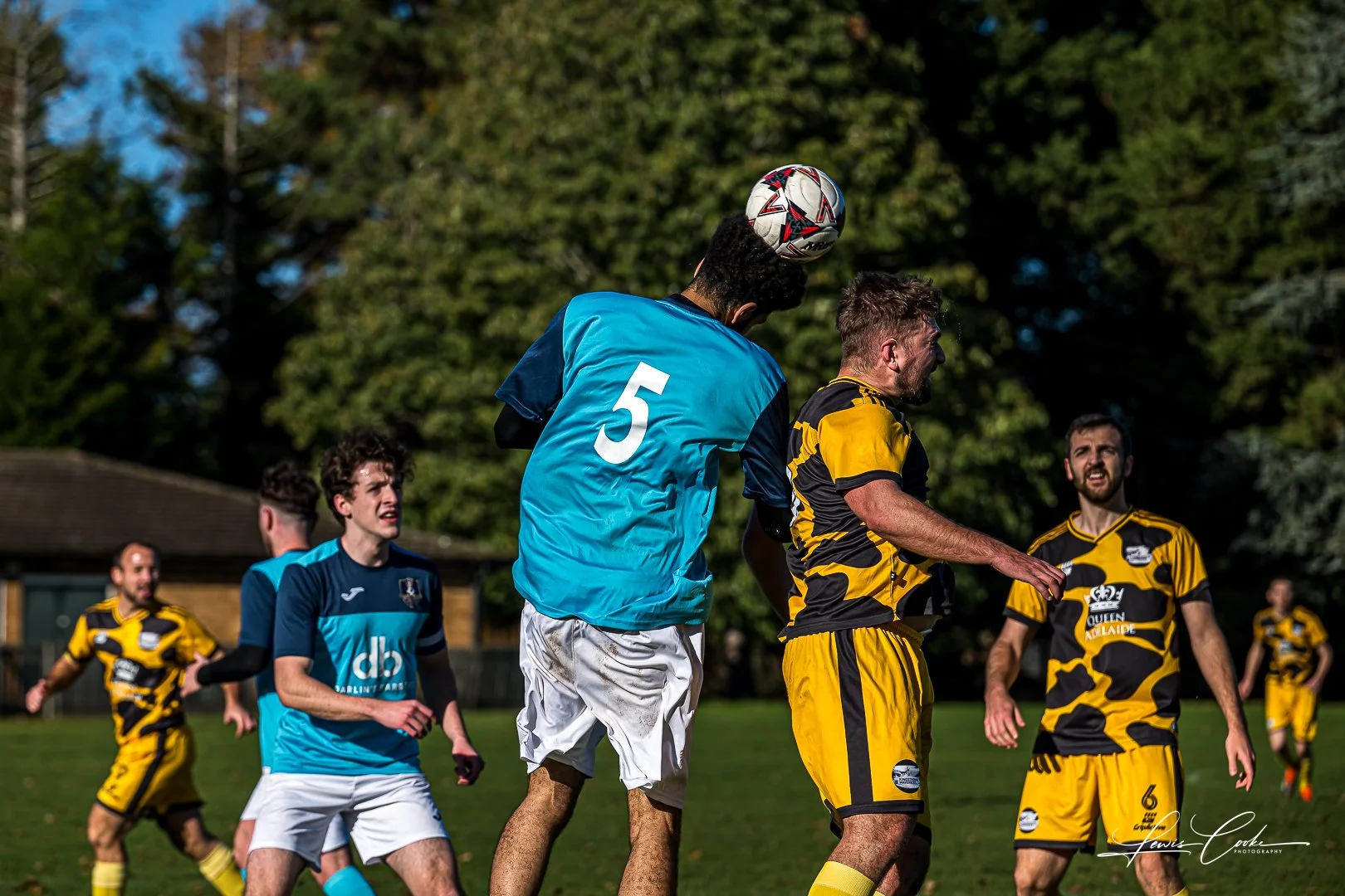  027 DSC_7928-2 251102.jpg