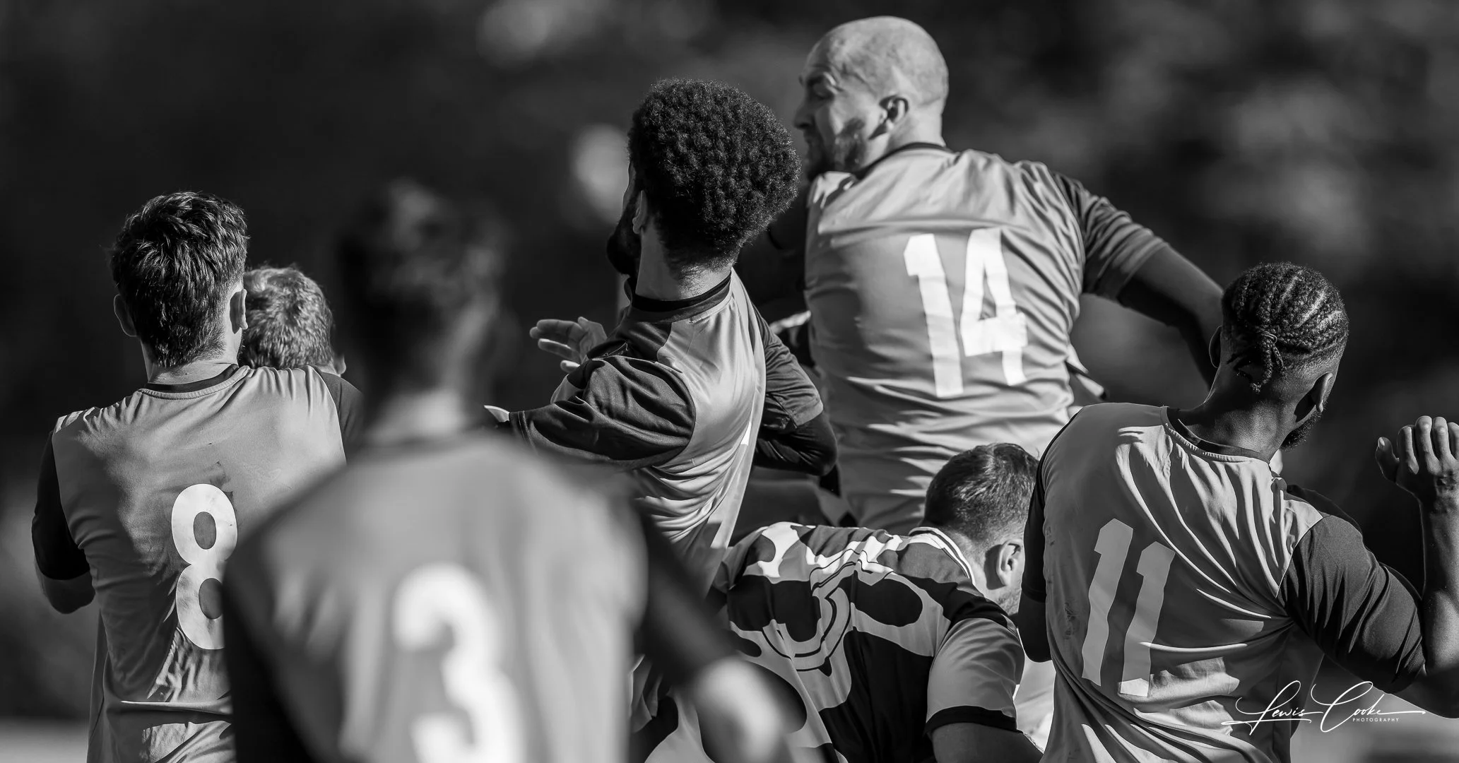  008 DSC_8055 251102.jpg