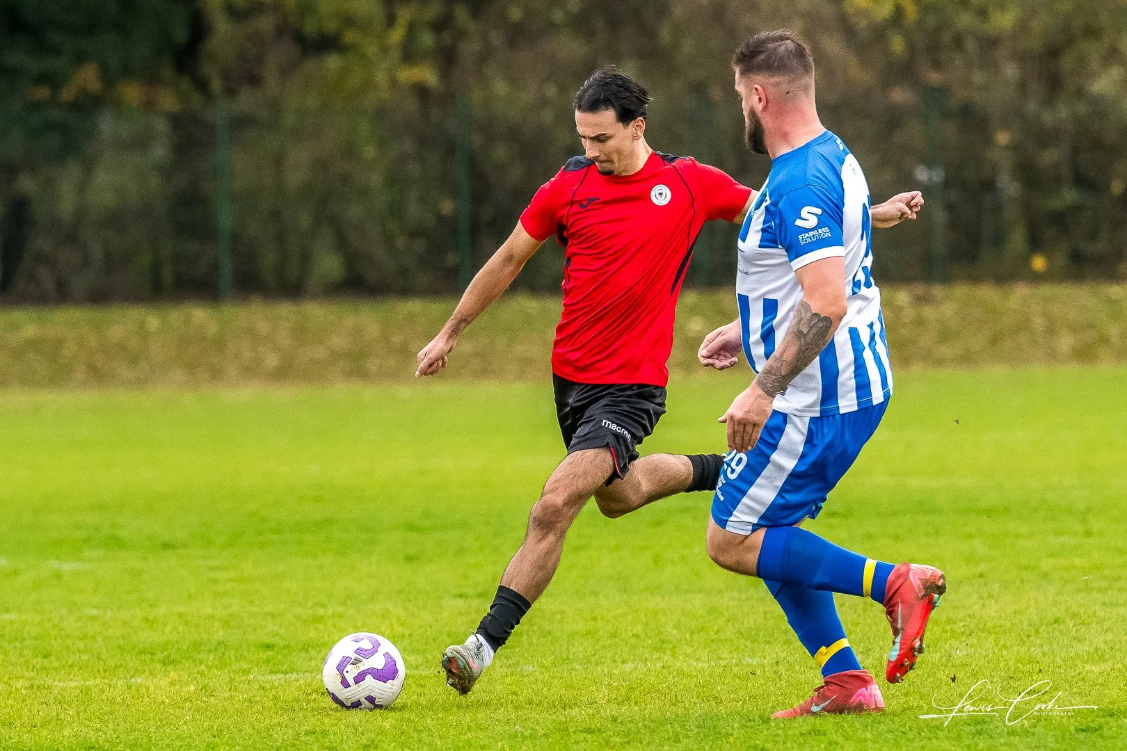  013 DSC_0283 251116.jpg