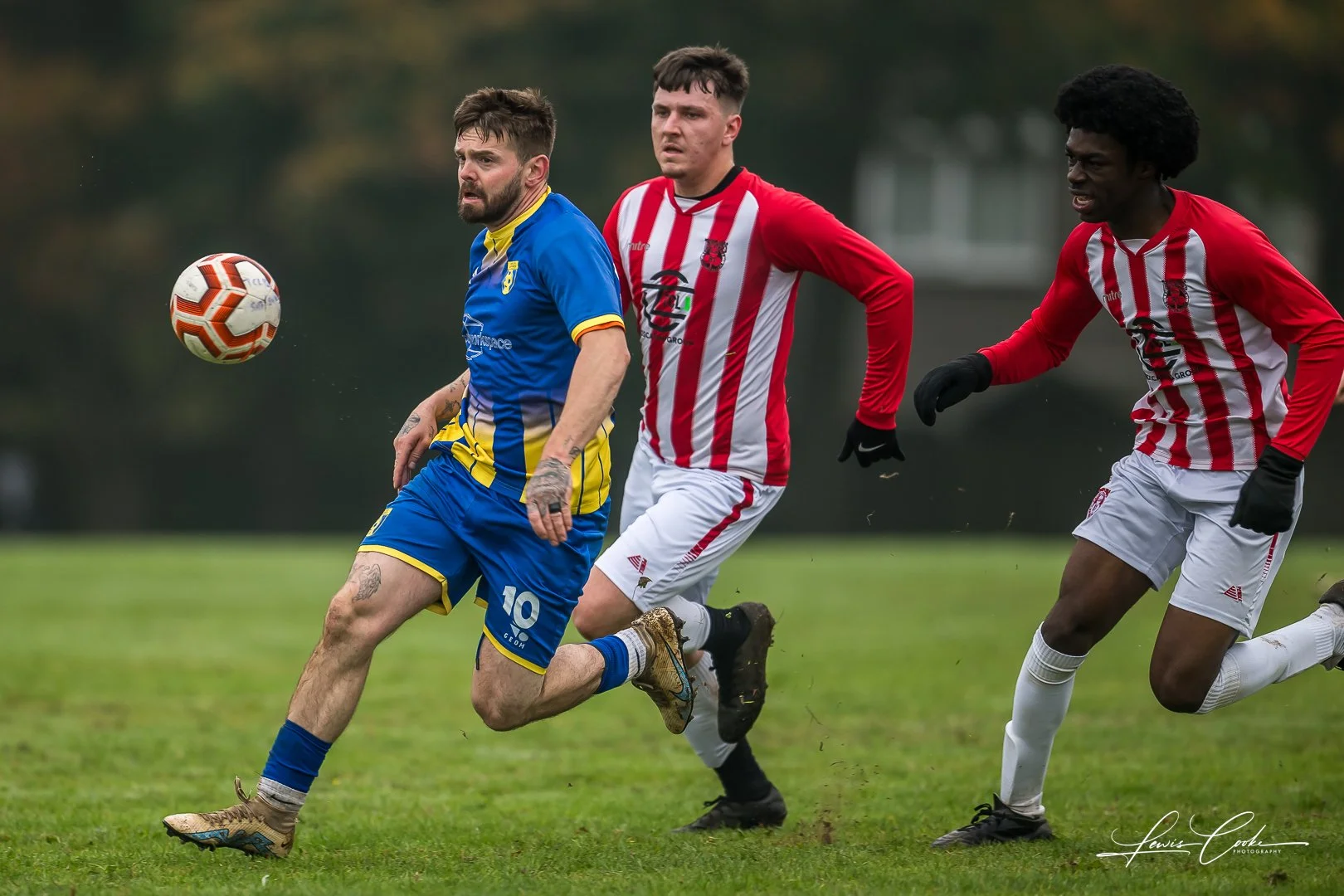  059 DSC_4305 251012.jpg