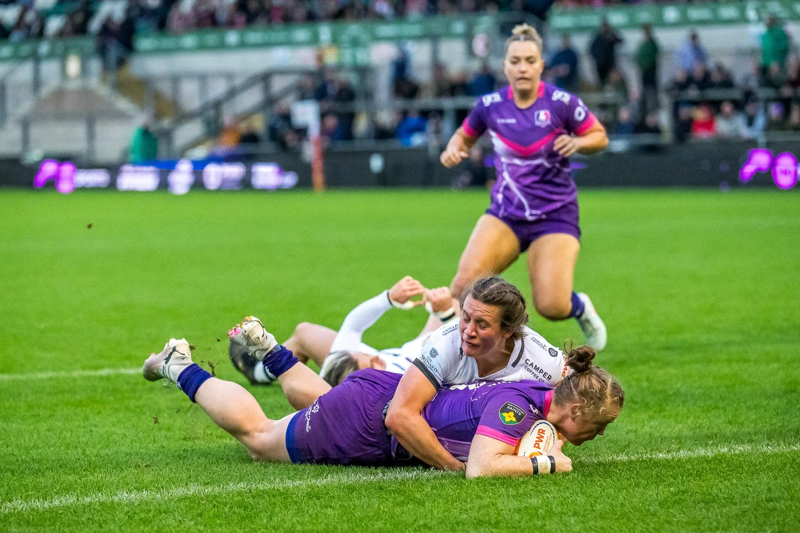 001 DSC_0066 251109.jpg