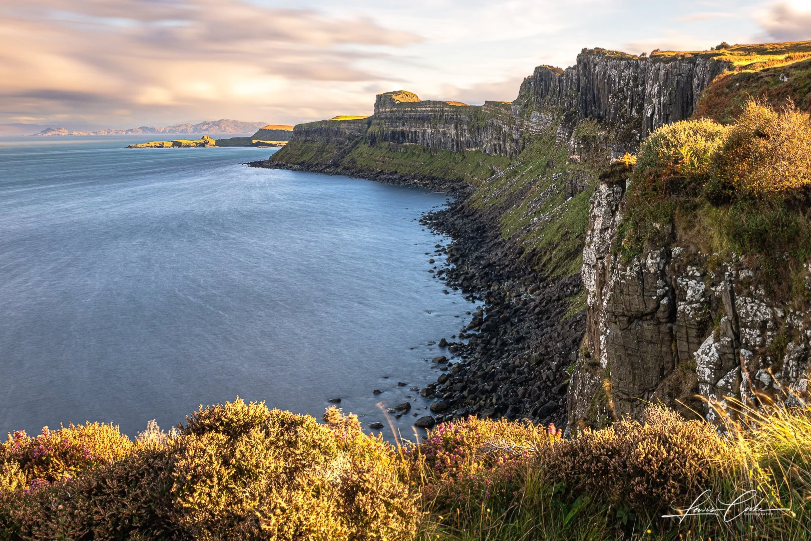 Cliffs overlooking the ocean with green and purple vegetation in the foreground, and a partly cloudy sky at sunset.