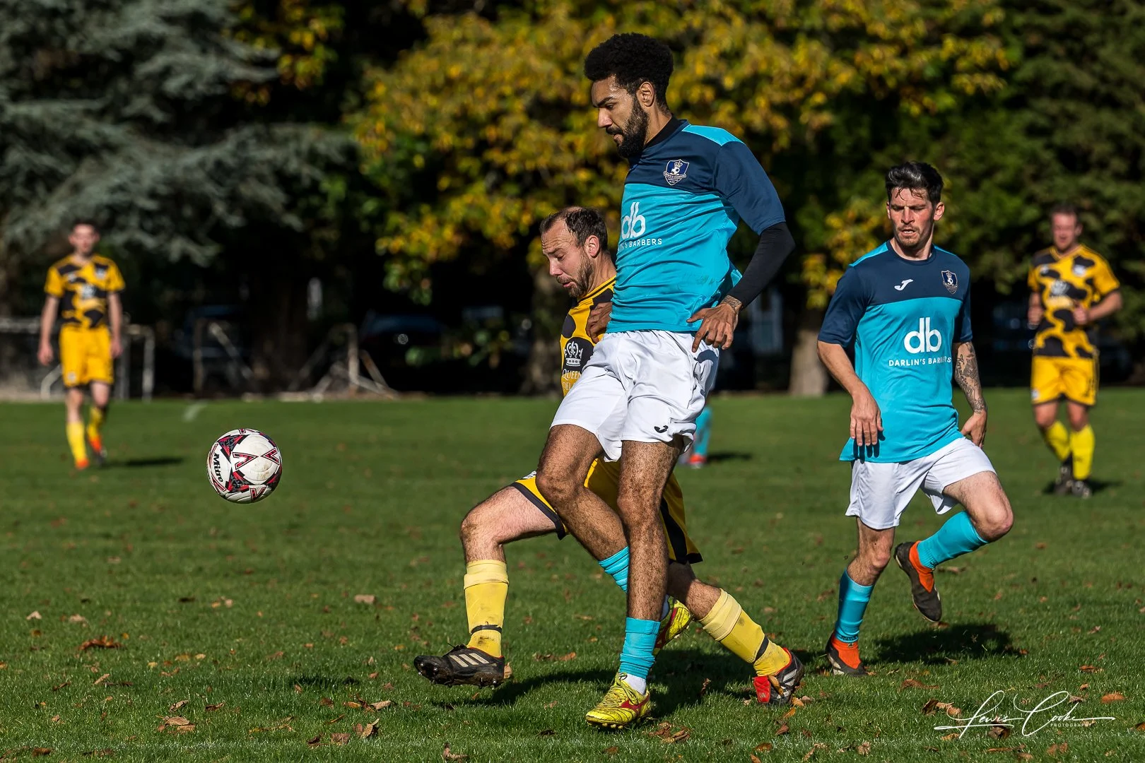  045 DSC_8066-2 251102.jpg