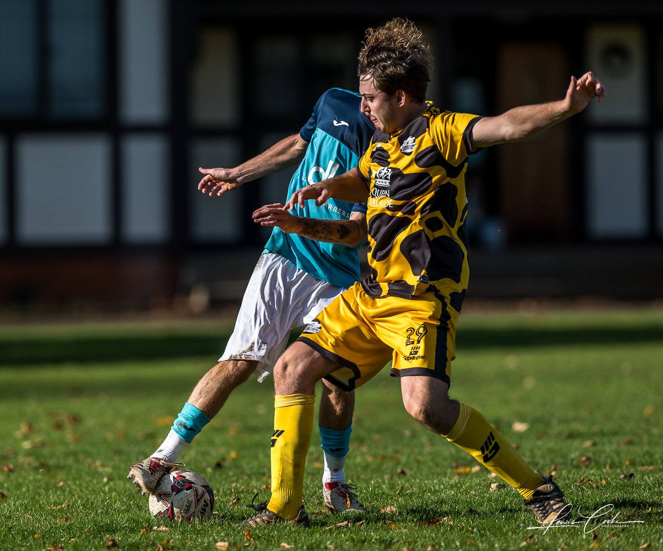  050 DSC_8506 251102.jpg