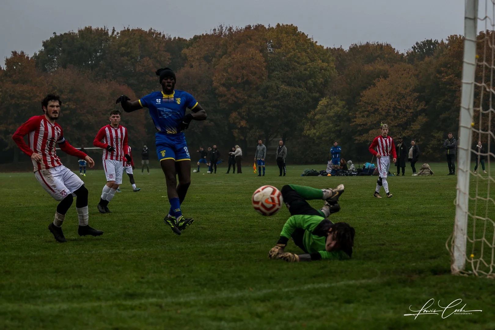  019 DSC_6687 251012.jpg