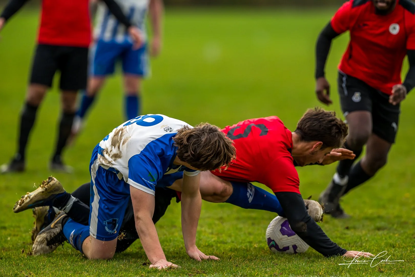  057 DSC_7170 251116.jpg