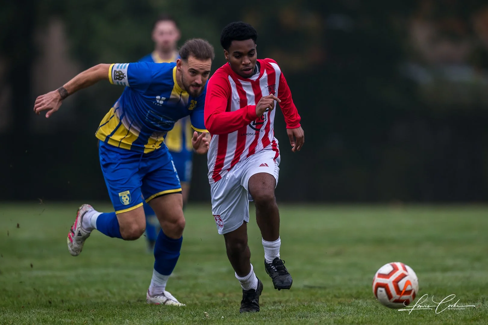  039 DSC_4138 251012.jpg