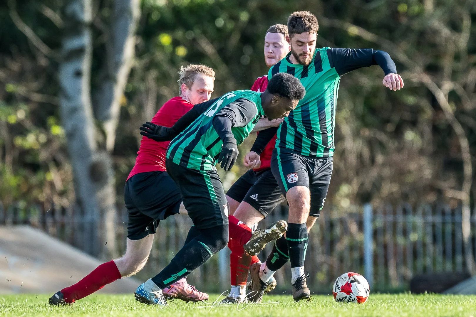  056 DSC_8207 251123.jpg