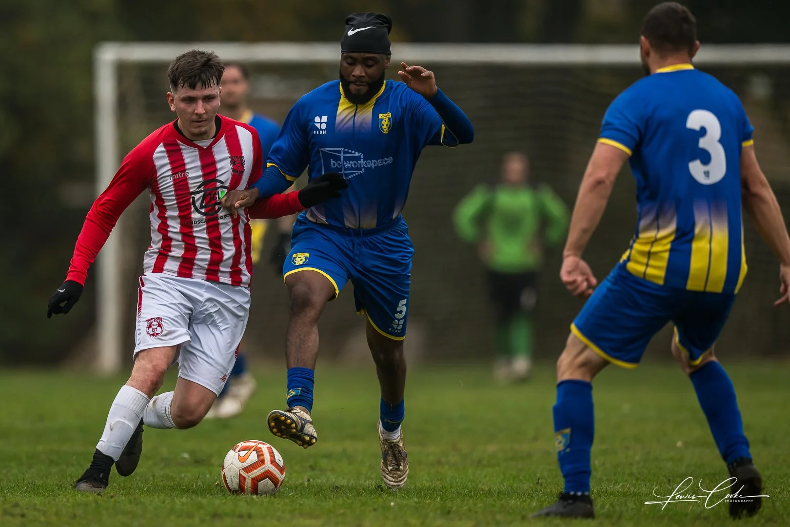  091 DSC_4564 251012.jpg