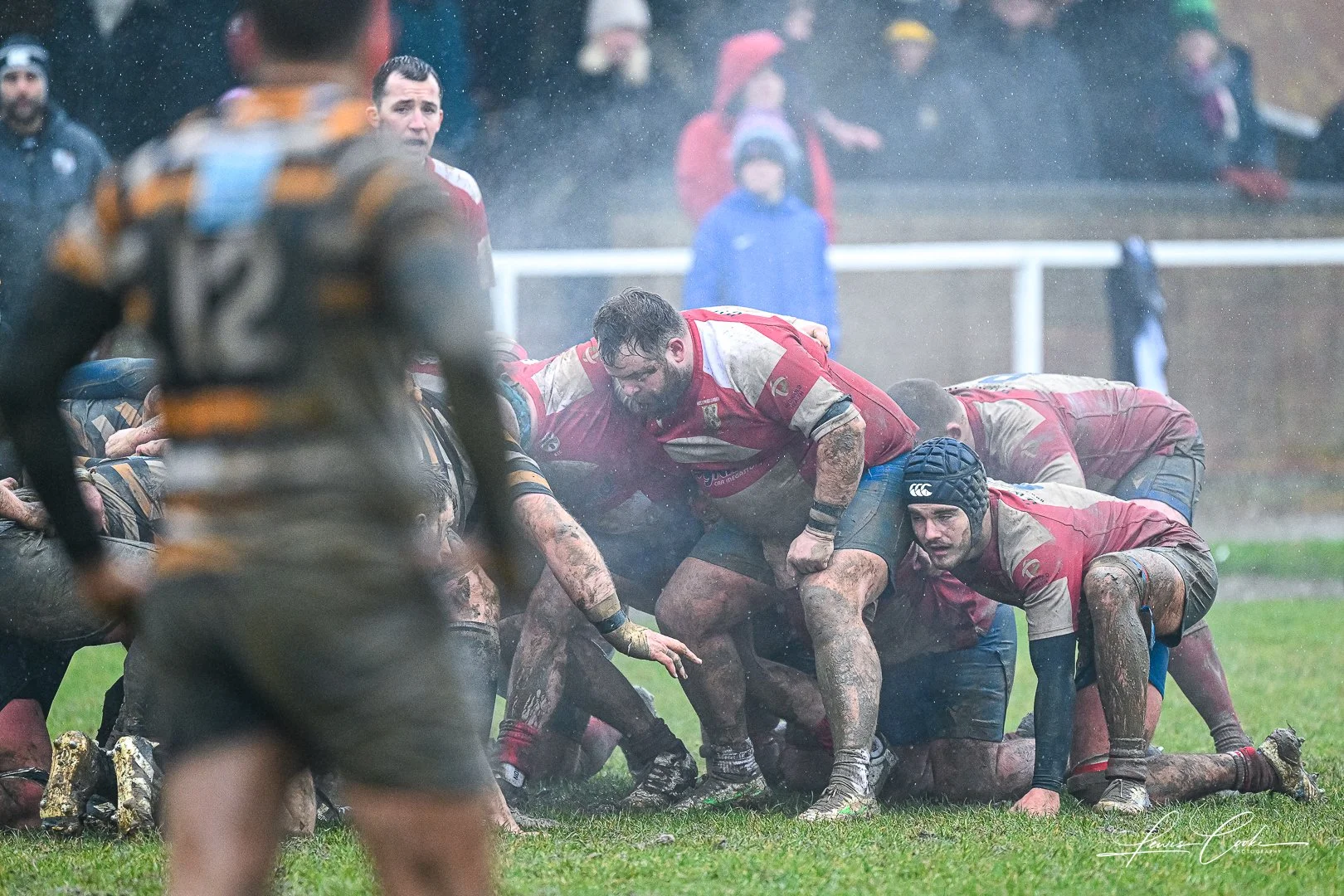 001 DSC_1619 230101.jpg