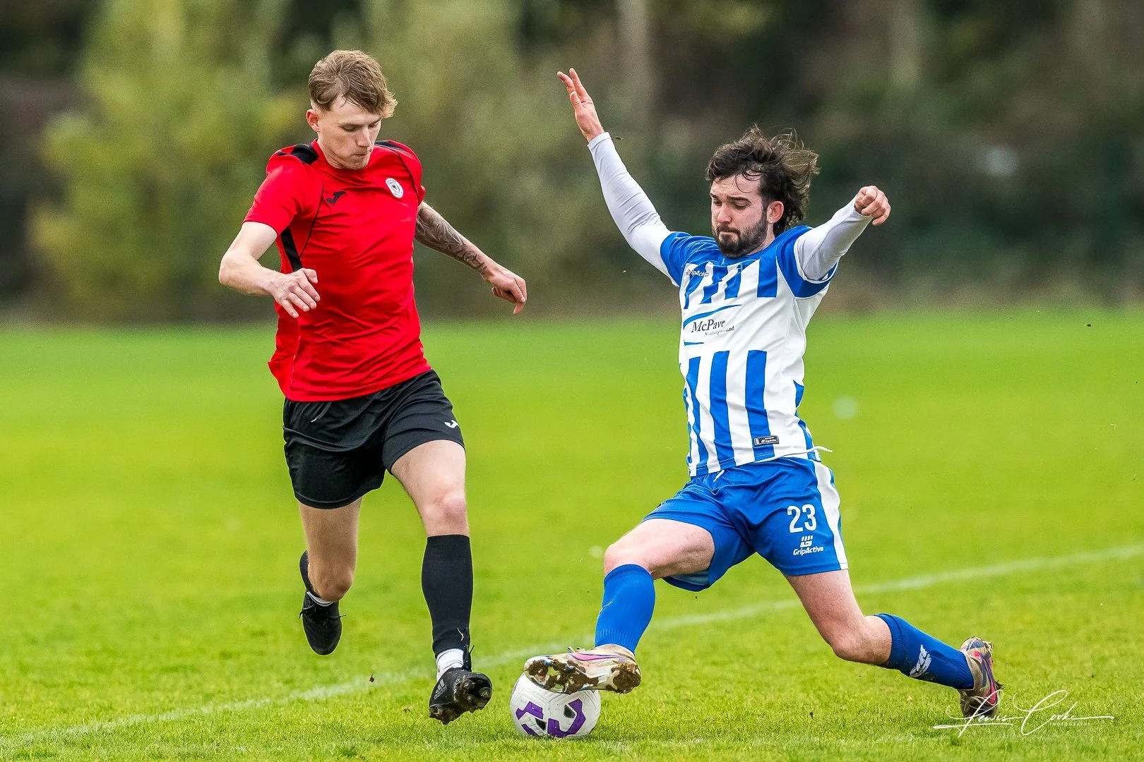  030 DSC_6815 251116.jpg