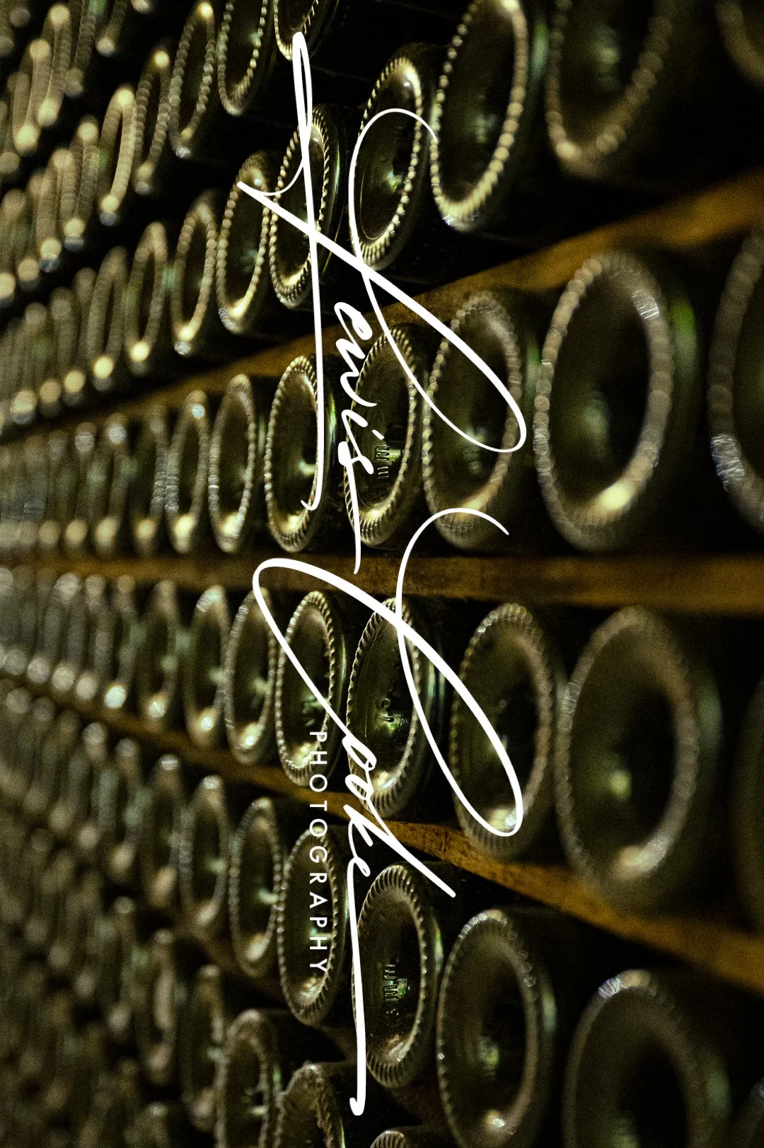 Chateau Cellar Bottle (Digital, Hi Res)