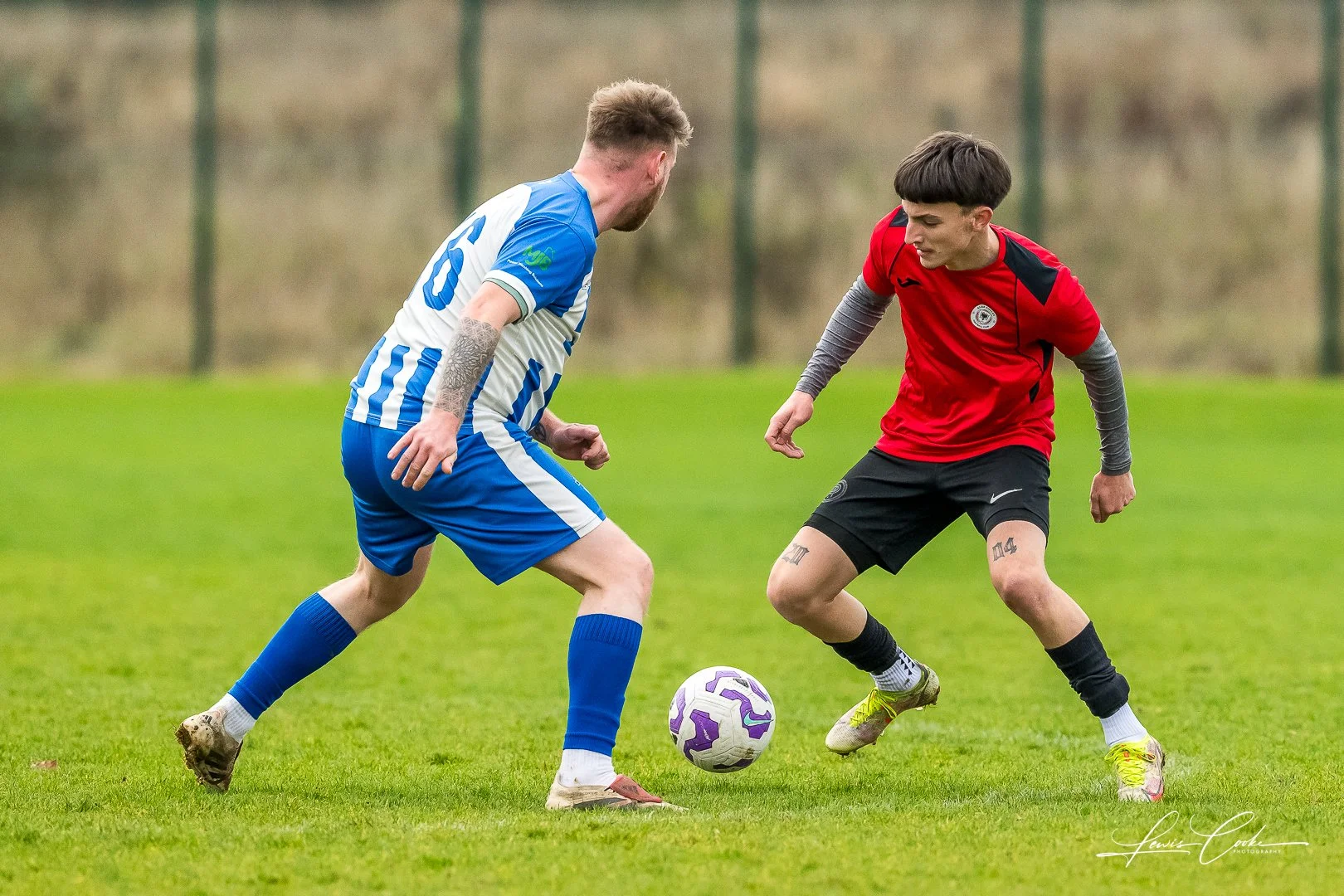  021 DSC_6722 251116.jpg