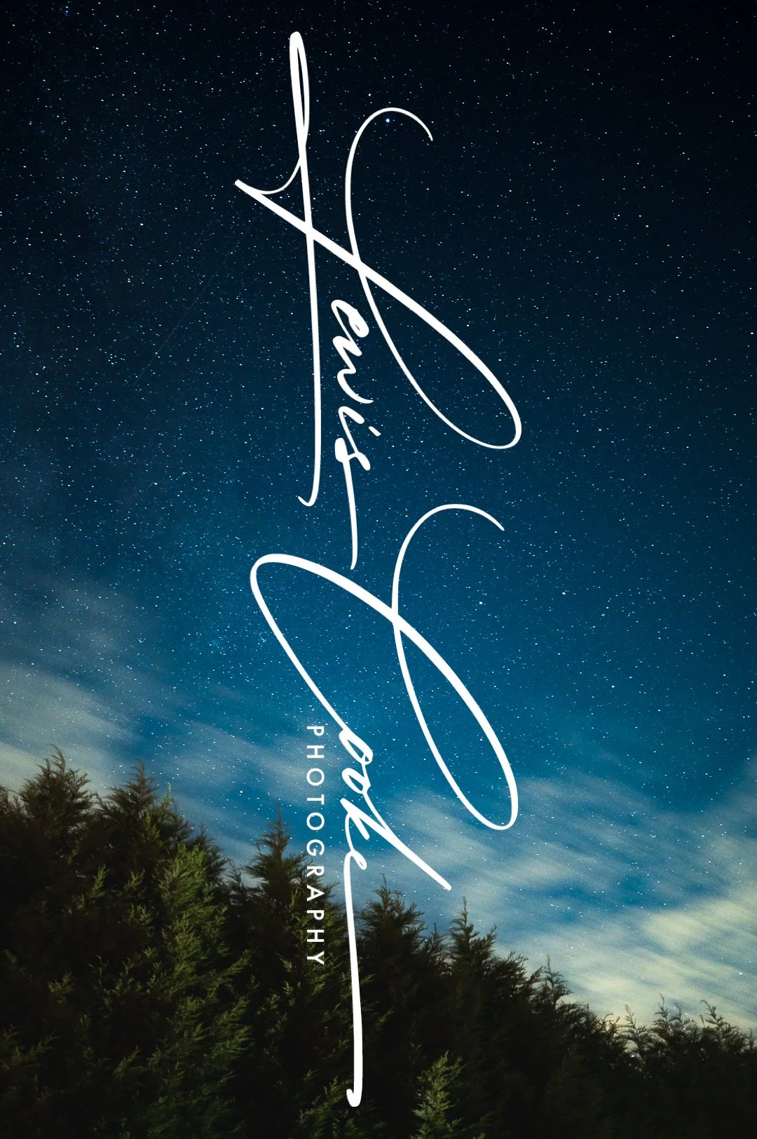 Stary Forest (Digital, Hi Res)