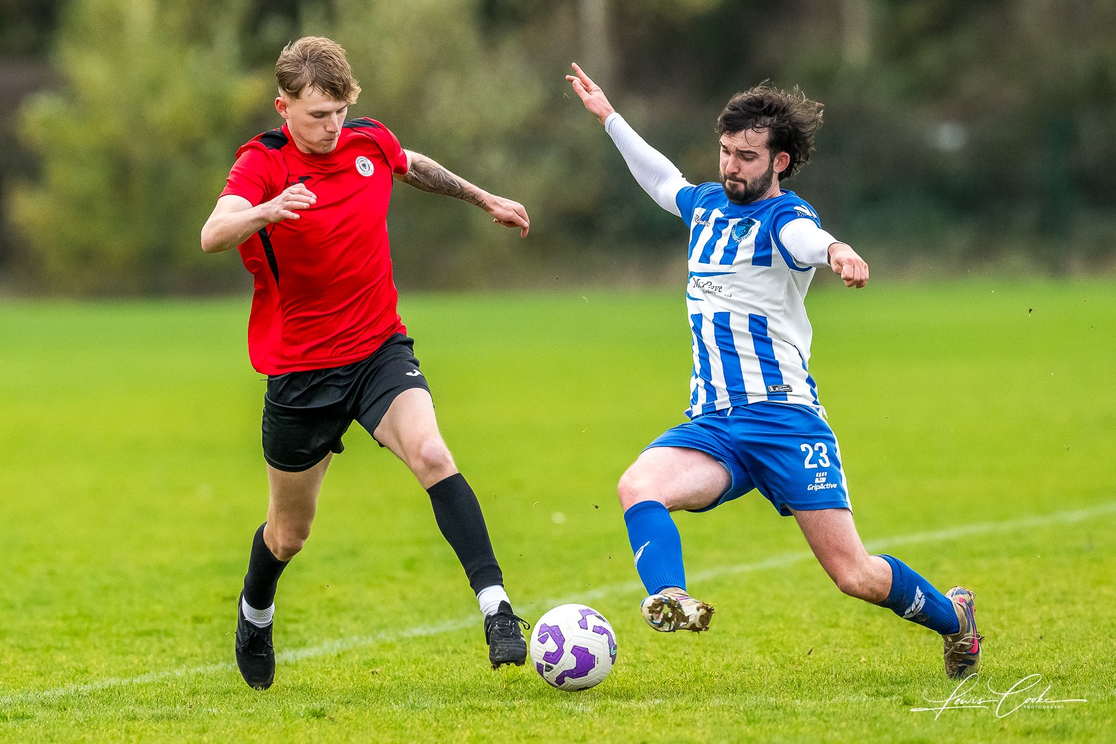  029 DSC_6814 251116.jpg