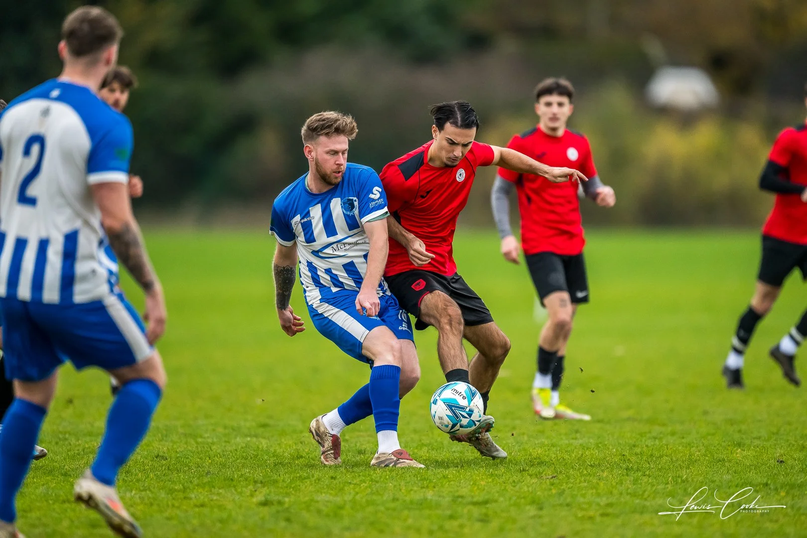  002 DSC_6572 251116.jpg