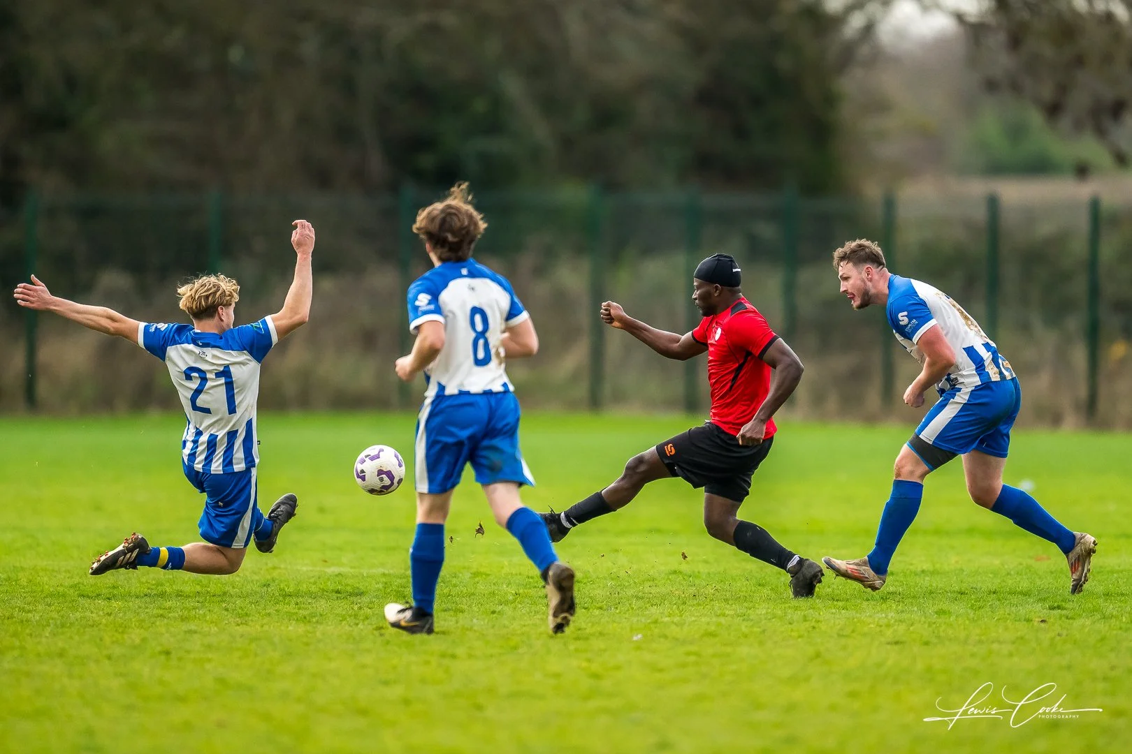  063 DSC_7281 251116.jpg