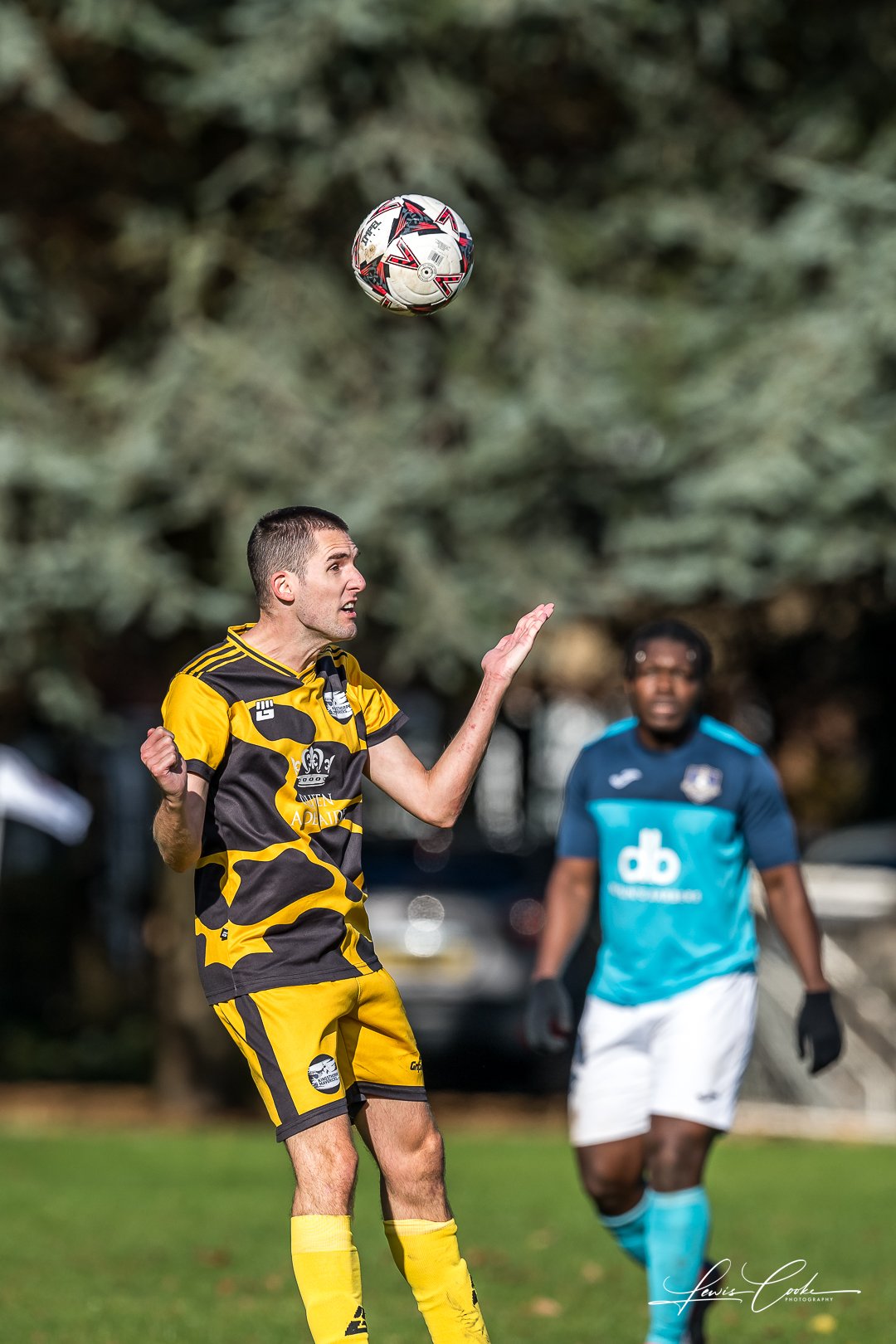  009 DSC_8069 251102.jpg