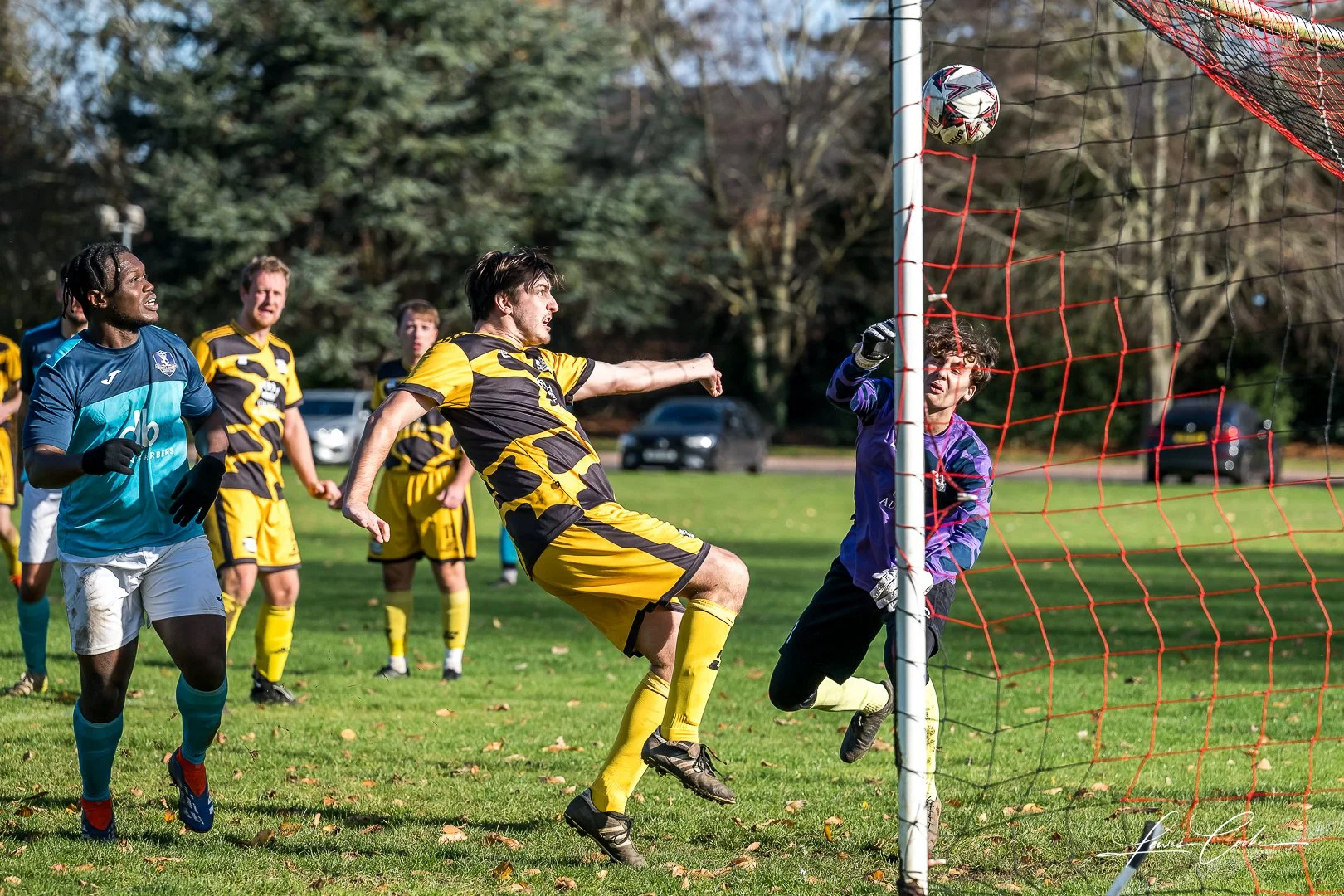  060 DSC_8218-2 251102.jpg