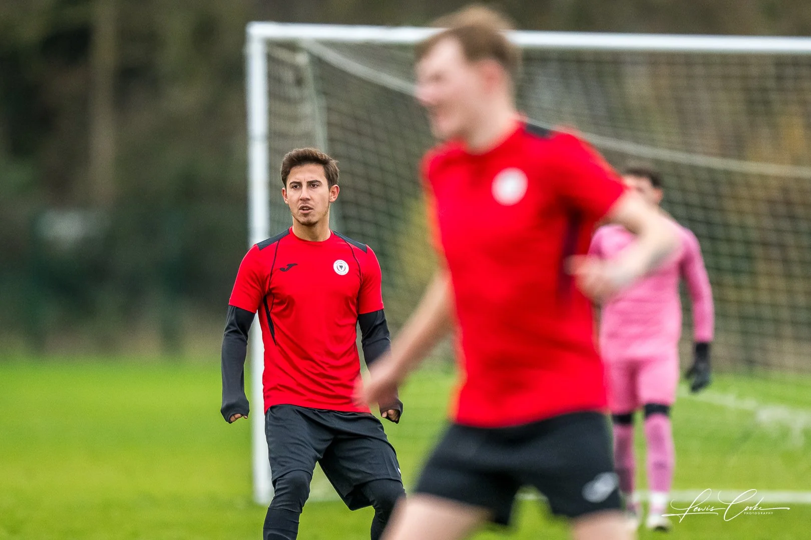  005 DSC_6583 251116.jpg