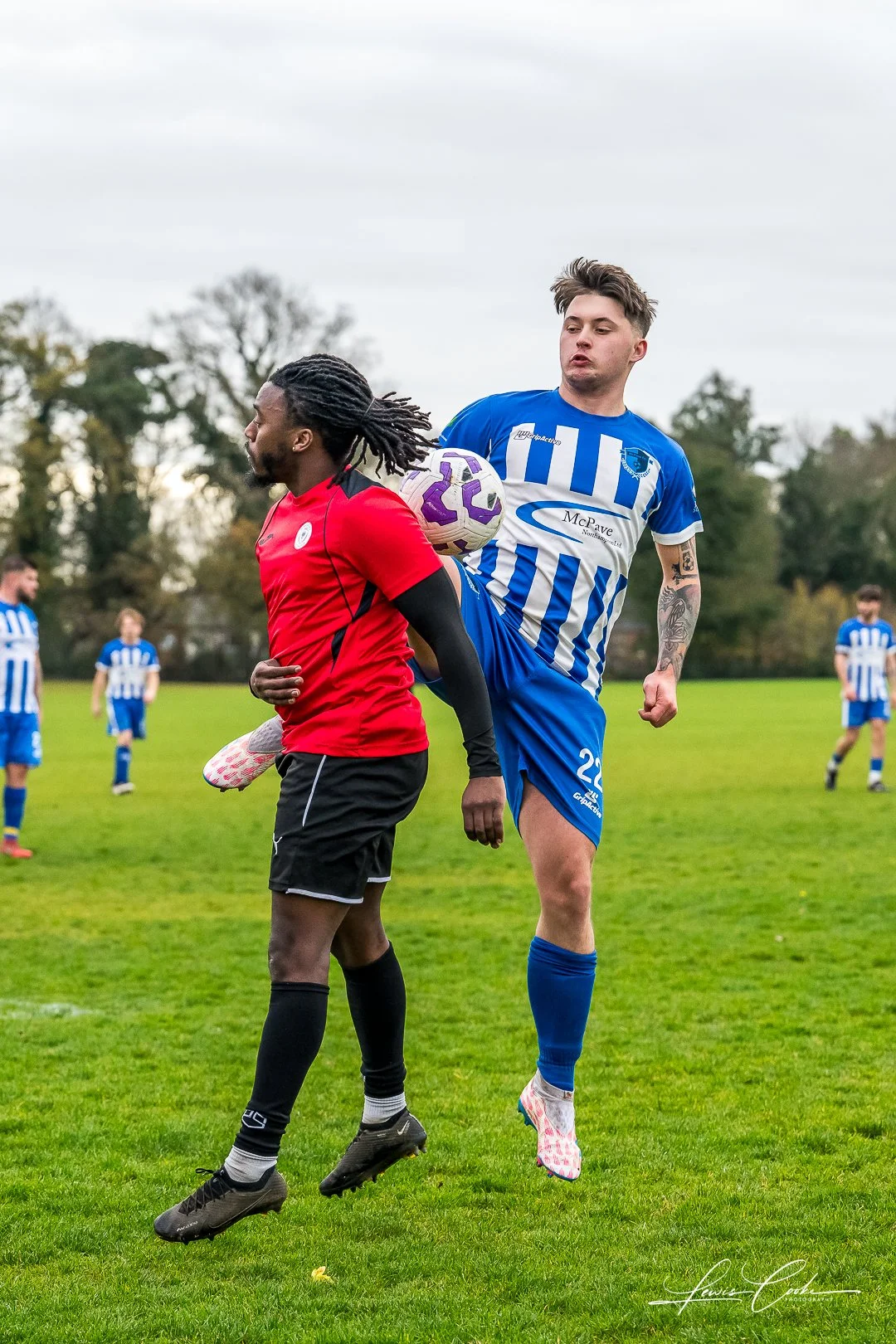  016 DSC_0322 251116.jpg