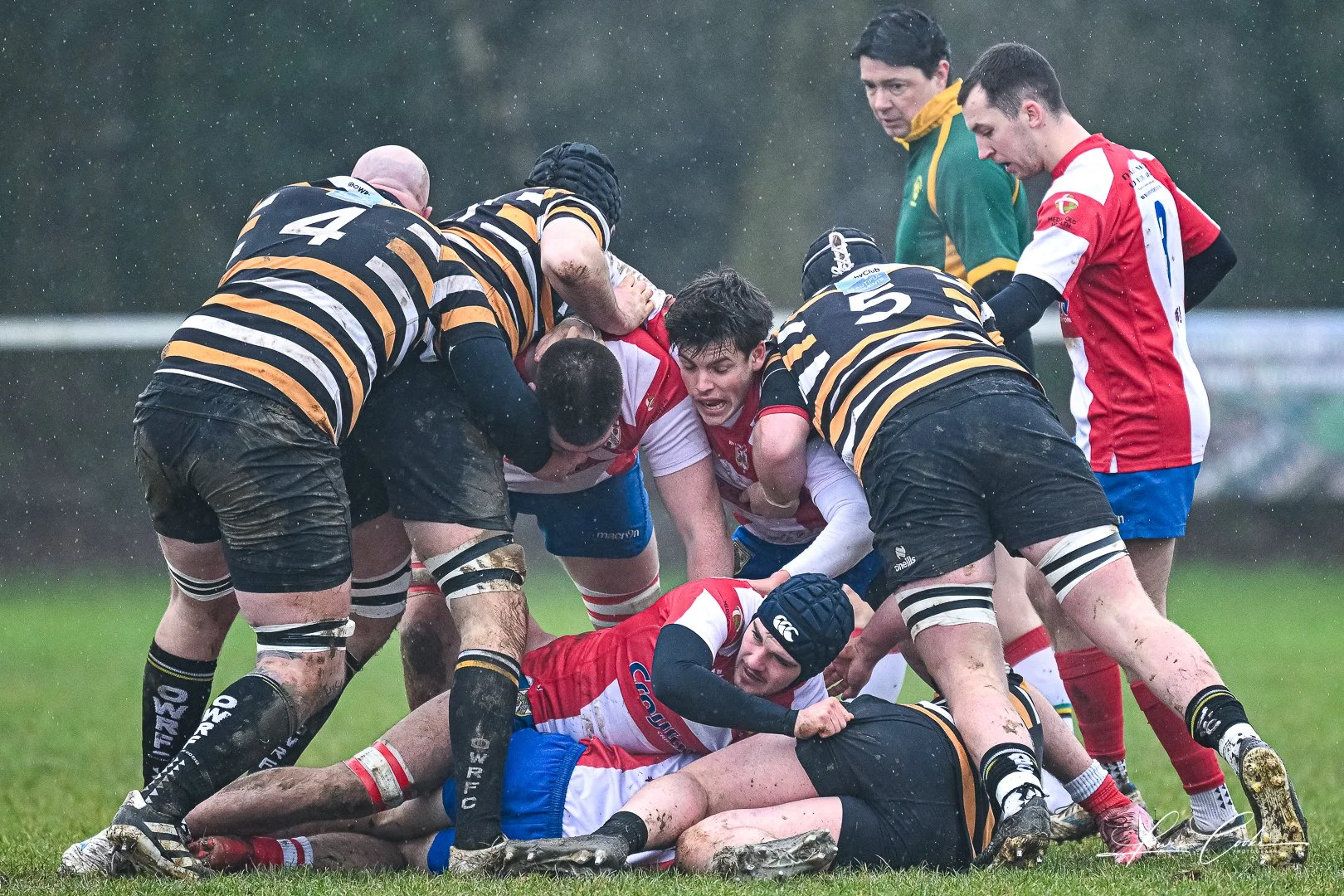 001 DSC_0224 230101.jpg