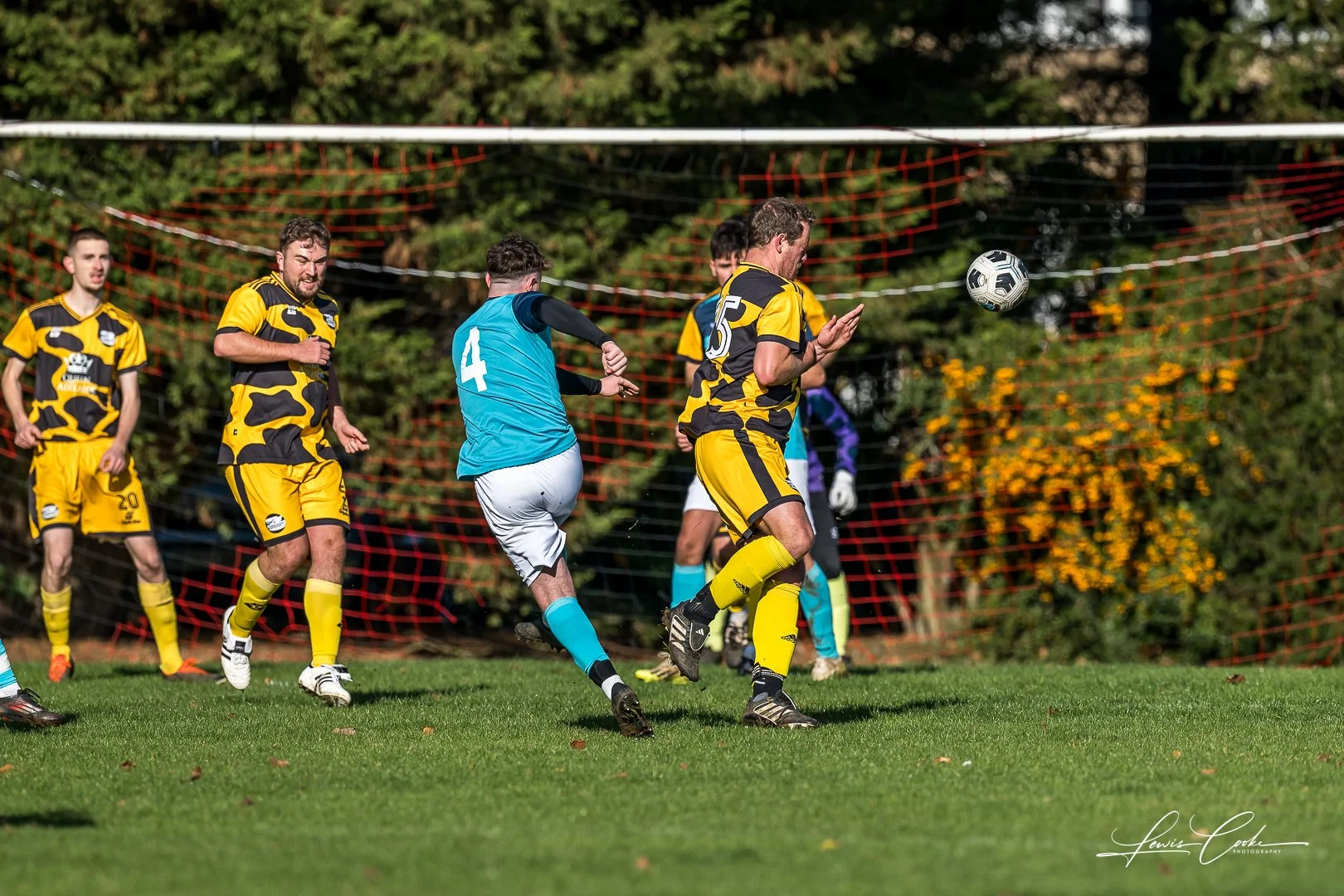  002 DSC_7924 251102.jpg