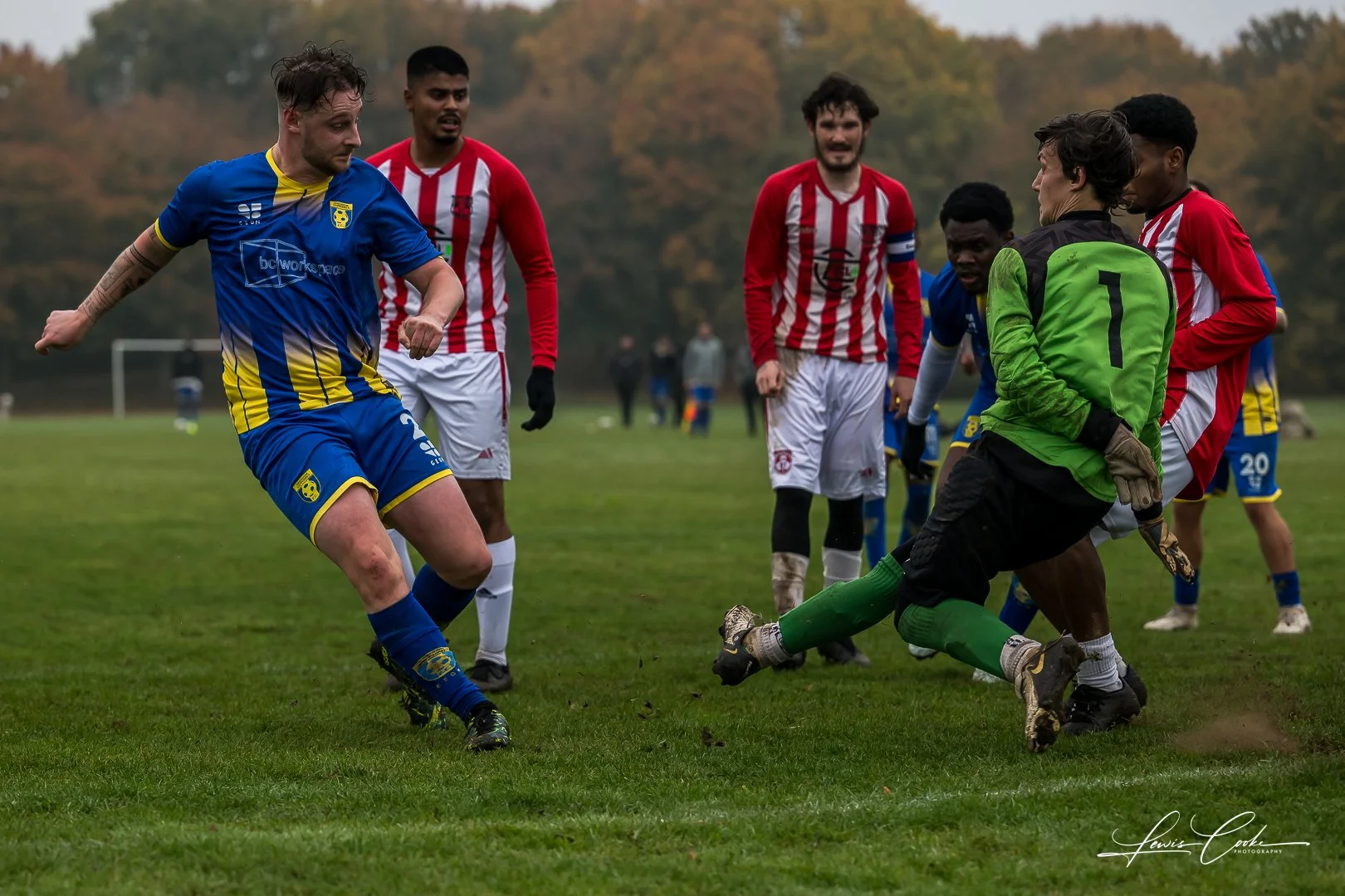  020 DSC_6696 251012.jpg