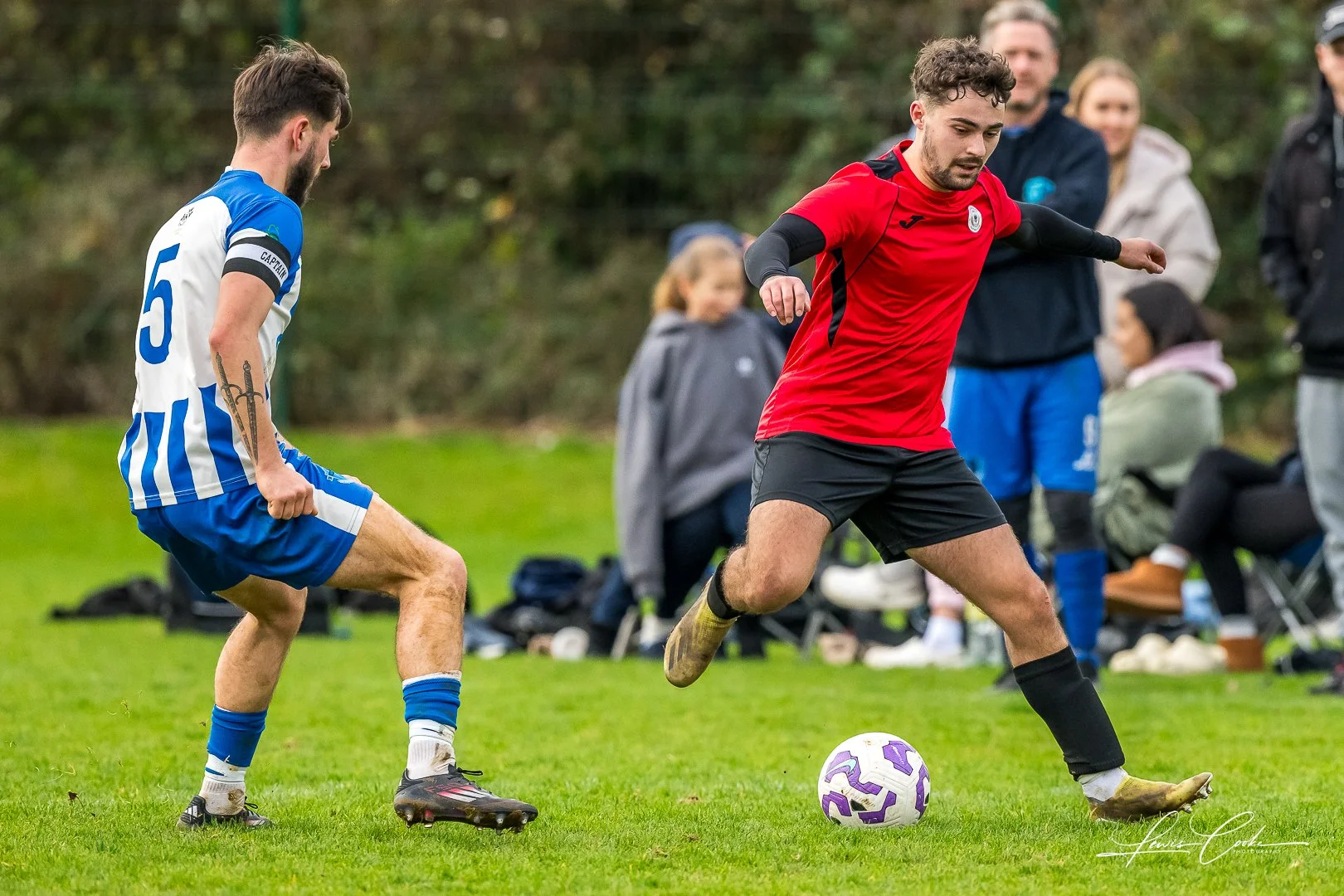  060 DSC_7222 251116.jpg