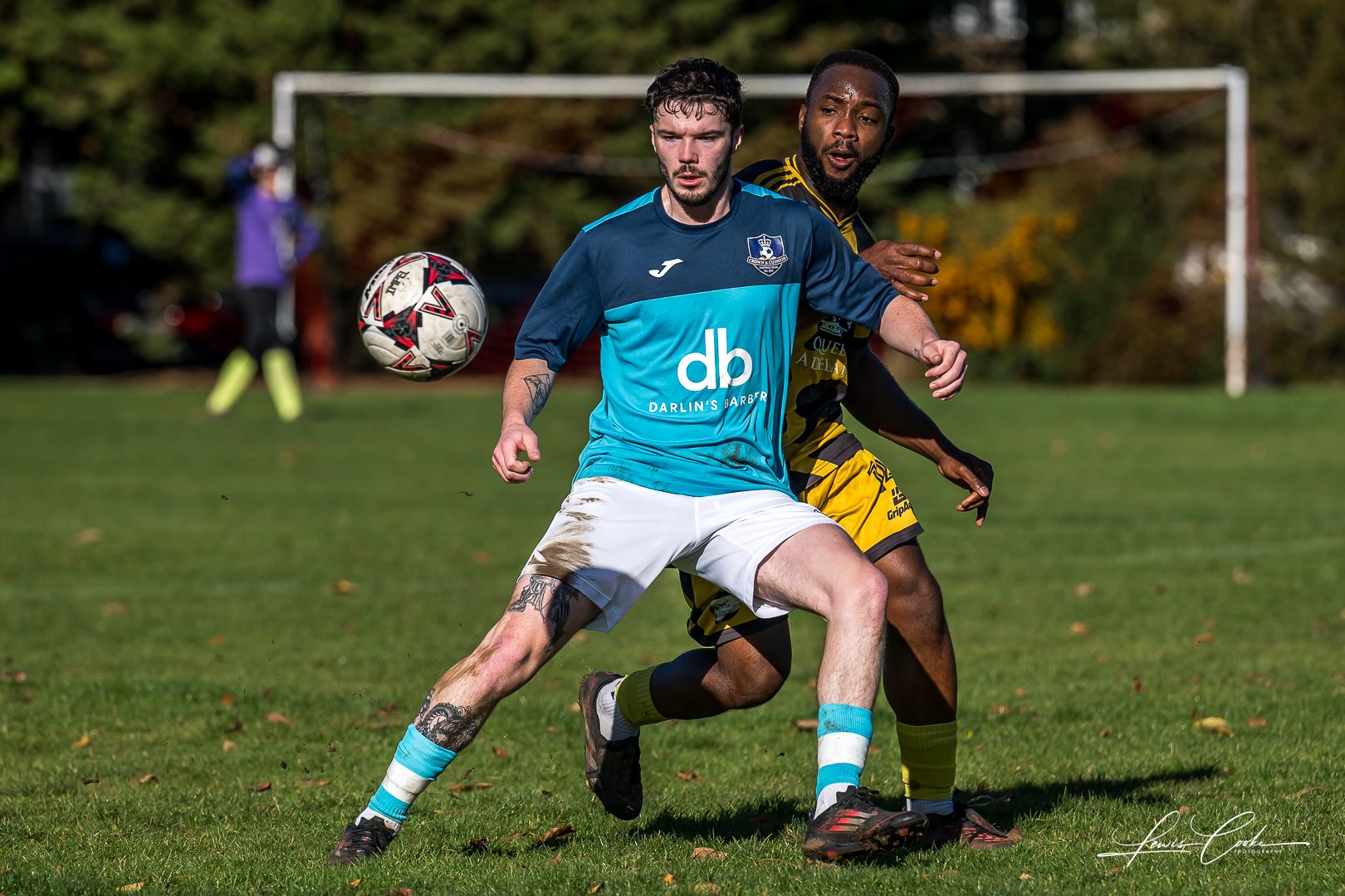  039 DSC_7964-2 251102.jpg