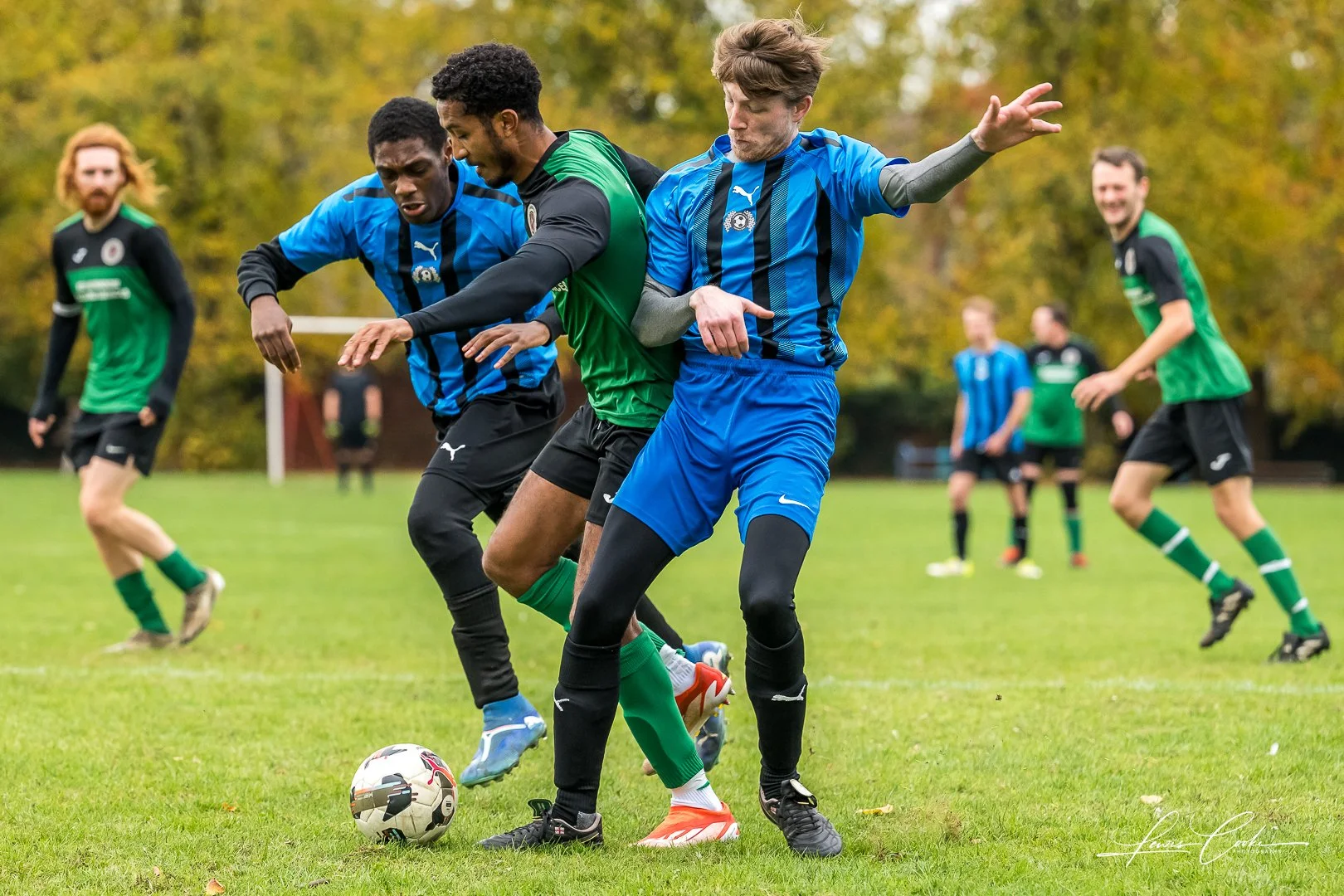  040 DSC_4925 251019.jpg