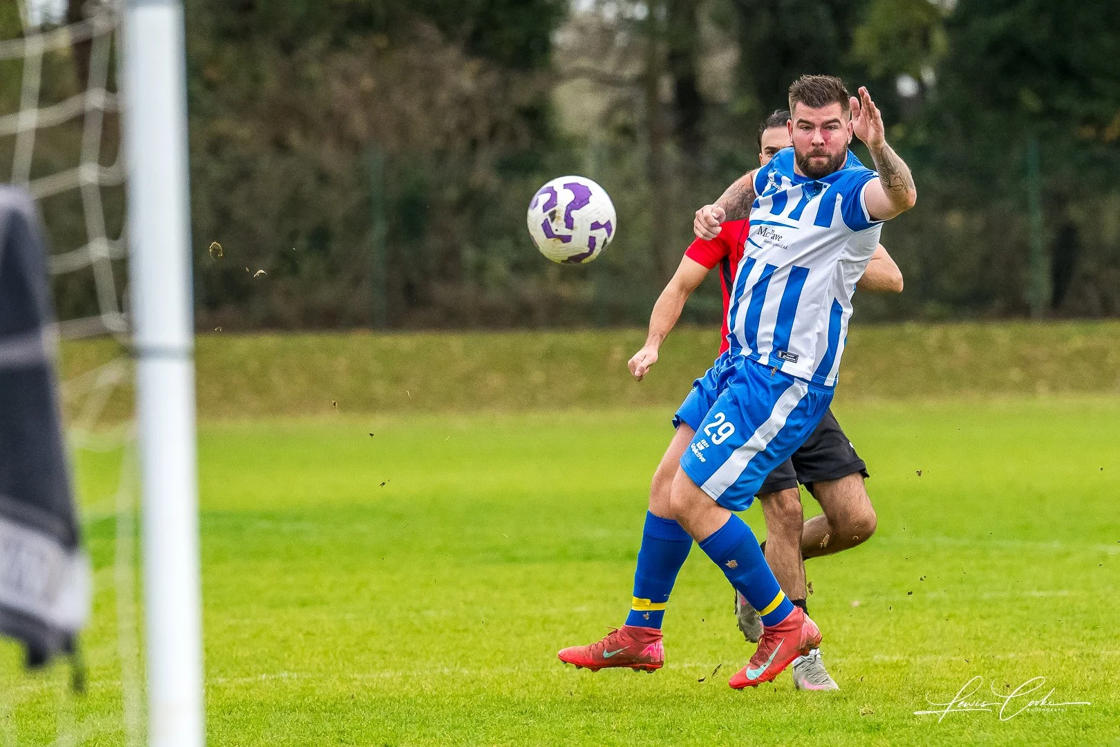  014 DSC_0292 251116.jpg