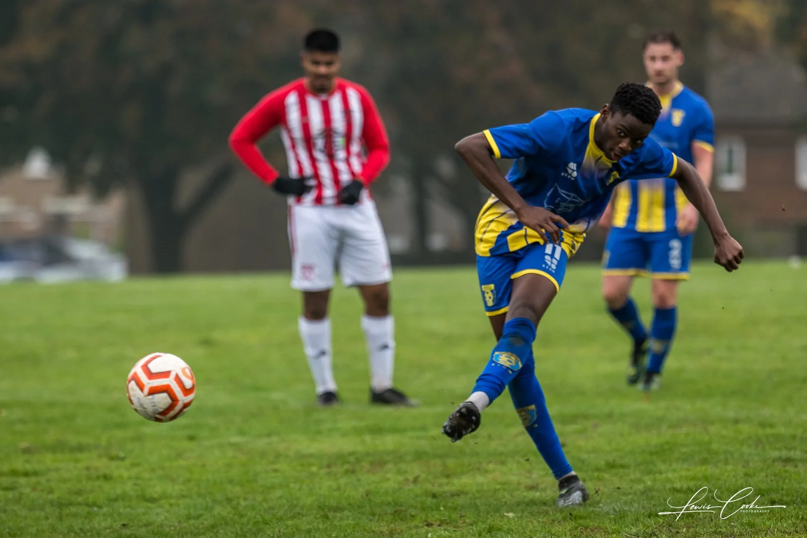  011 DSC_6593 251012.jpg