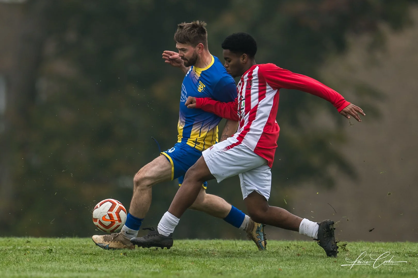  047 DSC_4200 251012.jpg