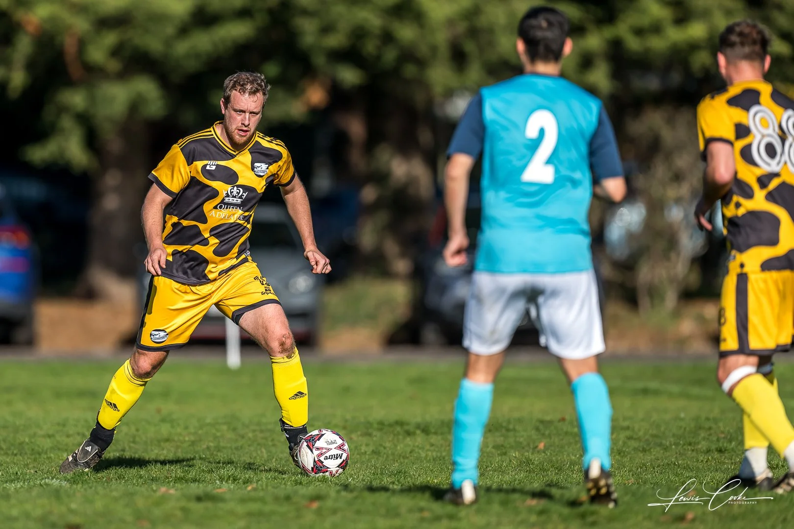  004 DSC_7951 251102.jpg