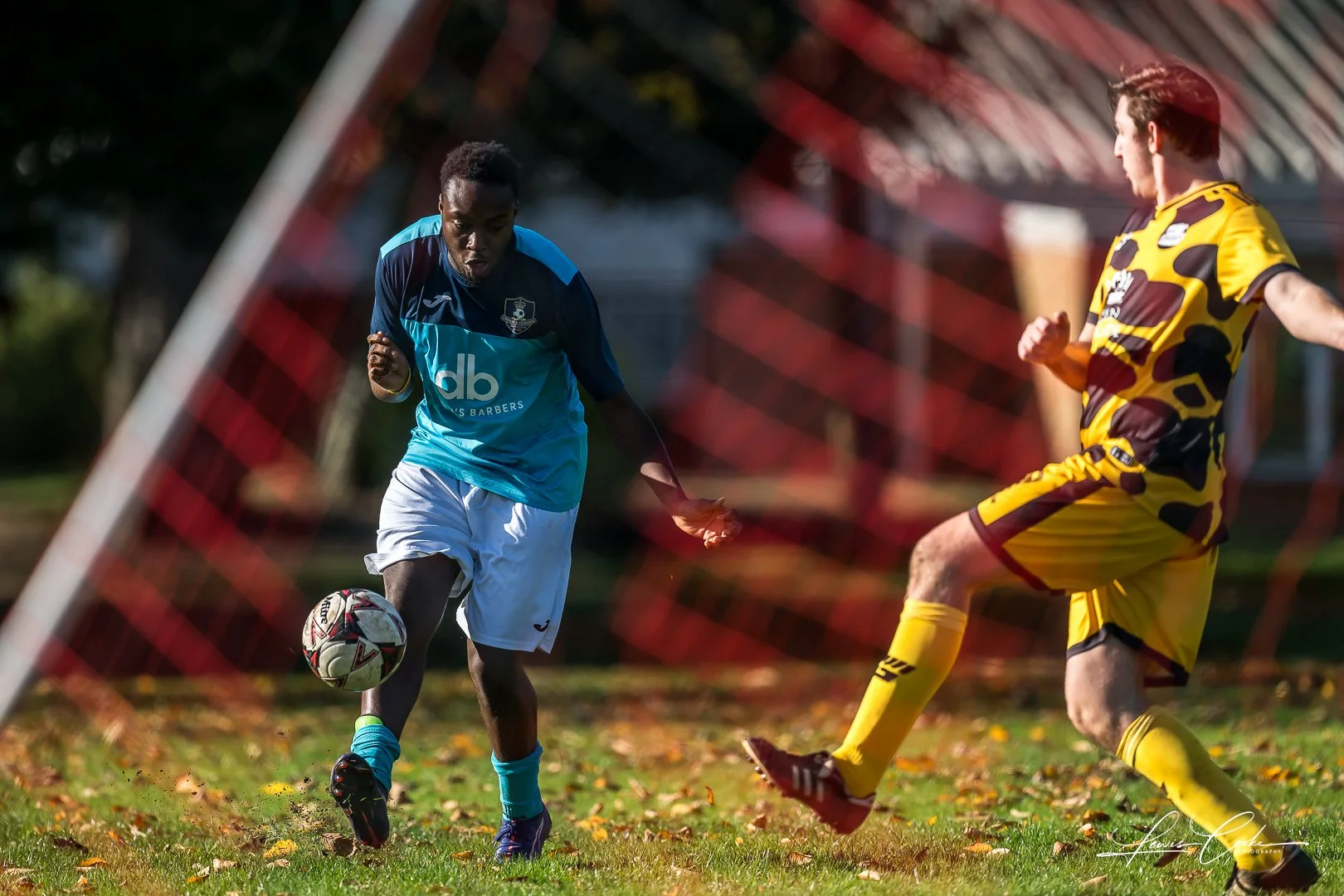  043 DSC_8469 251102.jpg